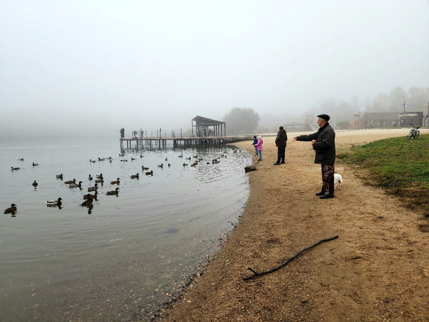 солнечногорск, сенеж , осень, туман, озеро,