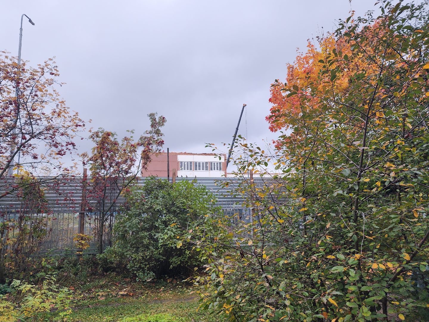 ремонт школ,  орехово-зуево,