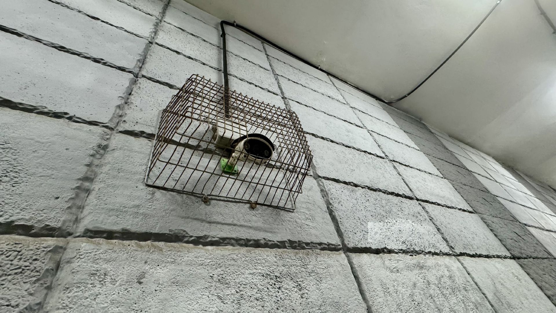 Сергиев Посад, пешеходный переход, безопасный регион,