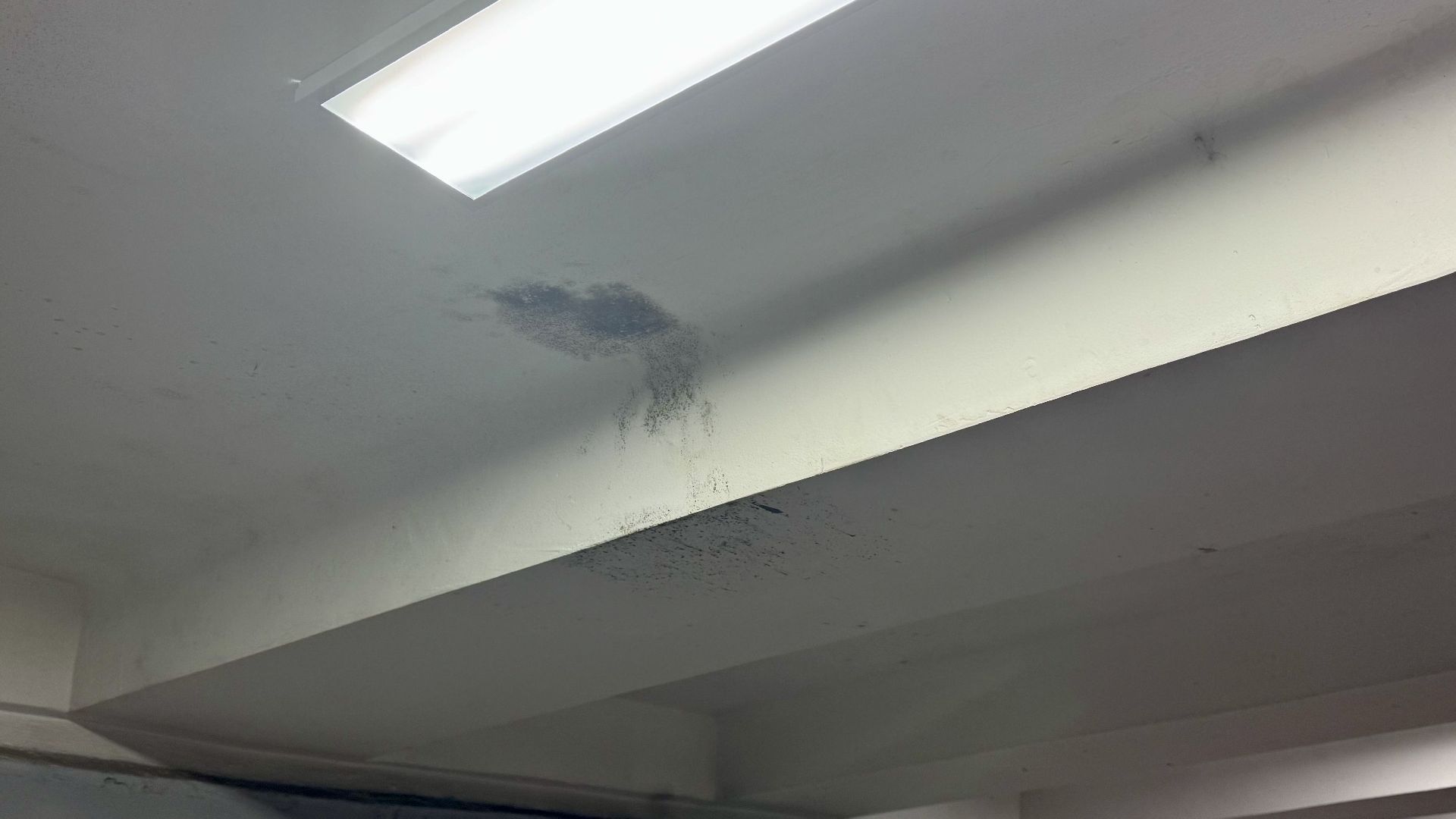 Сергиев Посад, пешеходный переход, безопасный регион,