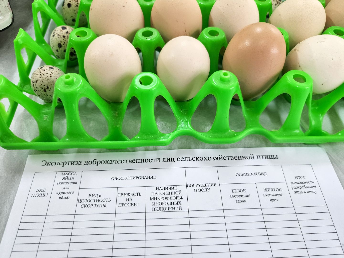 Подольск,  ФИЦ ВИЖ имени Эрнста,Мастер класс, Каникулы,