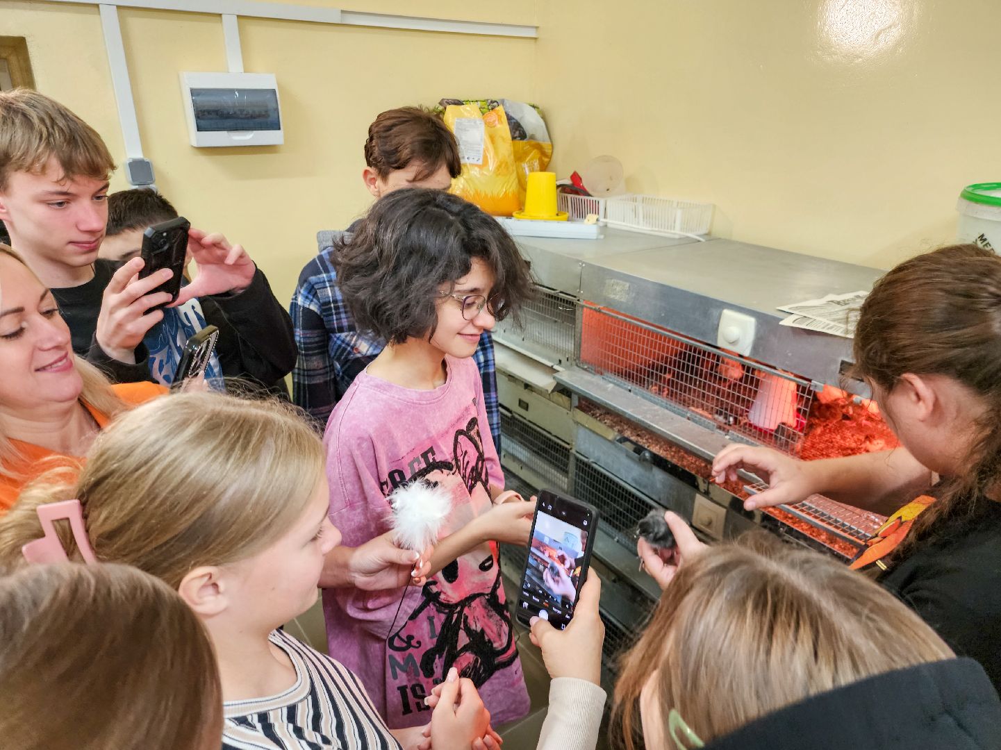 Подольск,  ФИЦ ВИЖ имени Эрнста,Мастер класс, Каникулы,