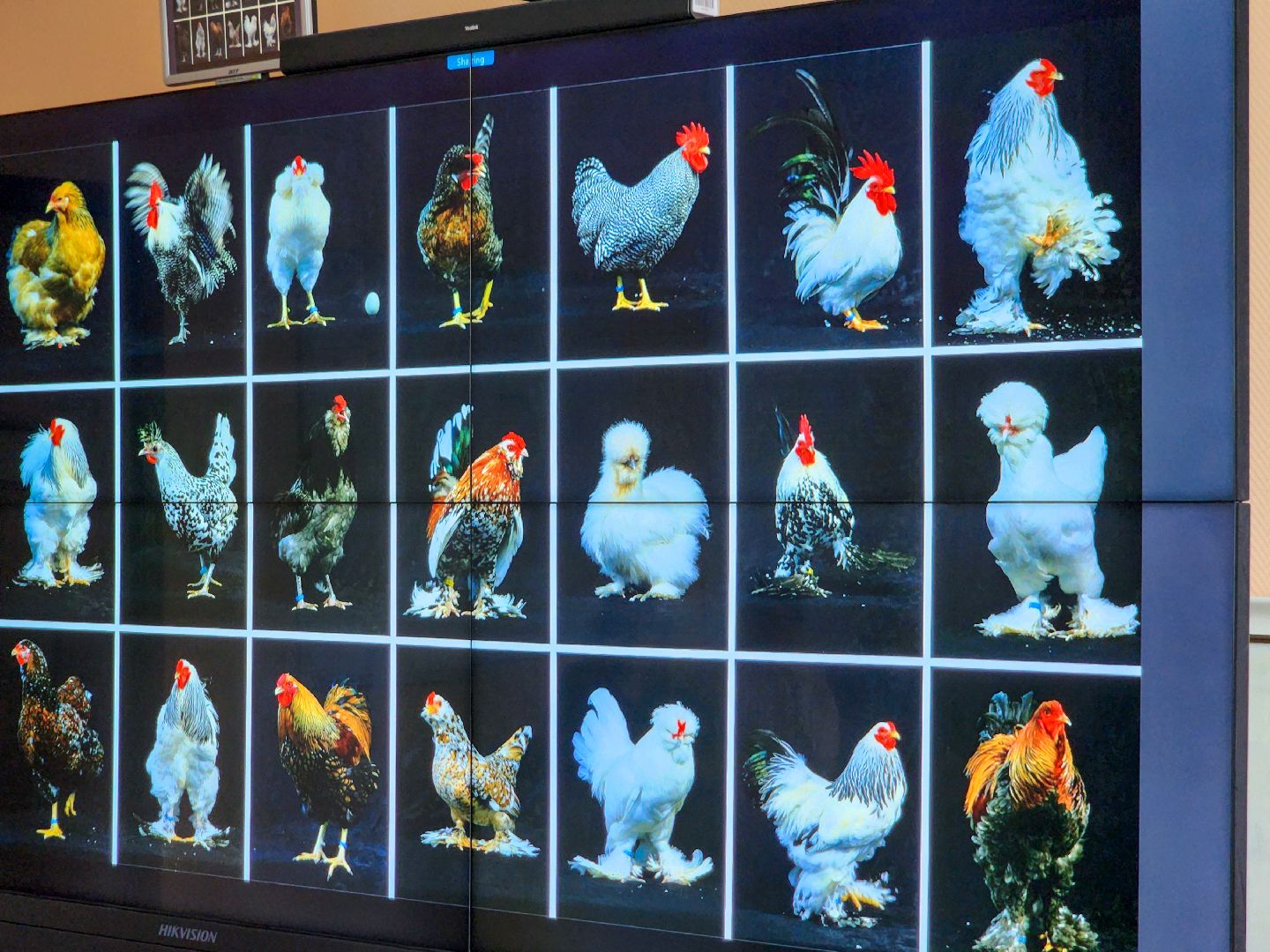 Подольск,  ФИЦ ВИЖ имени Эрнста,Мастер класс, Каникулы,