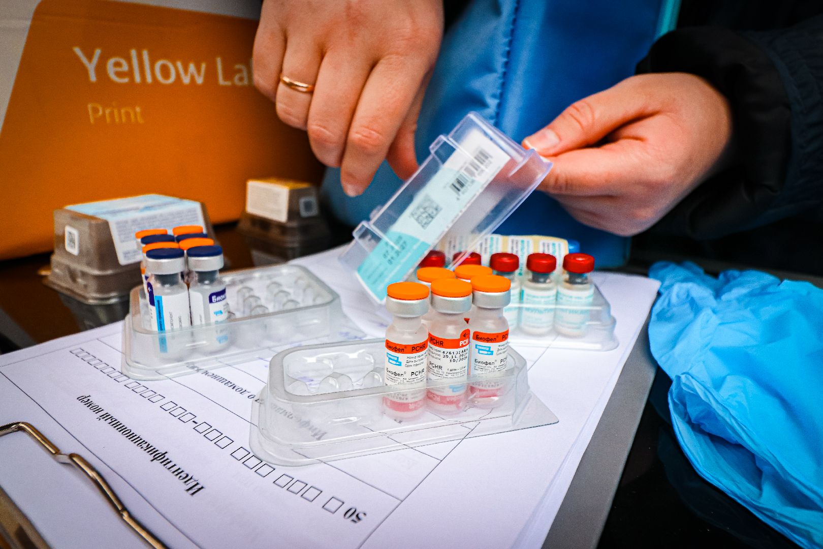 клин, общество, медицина, вакцинация животных, осень, ветеринары,