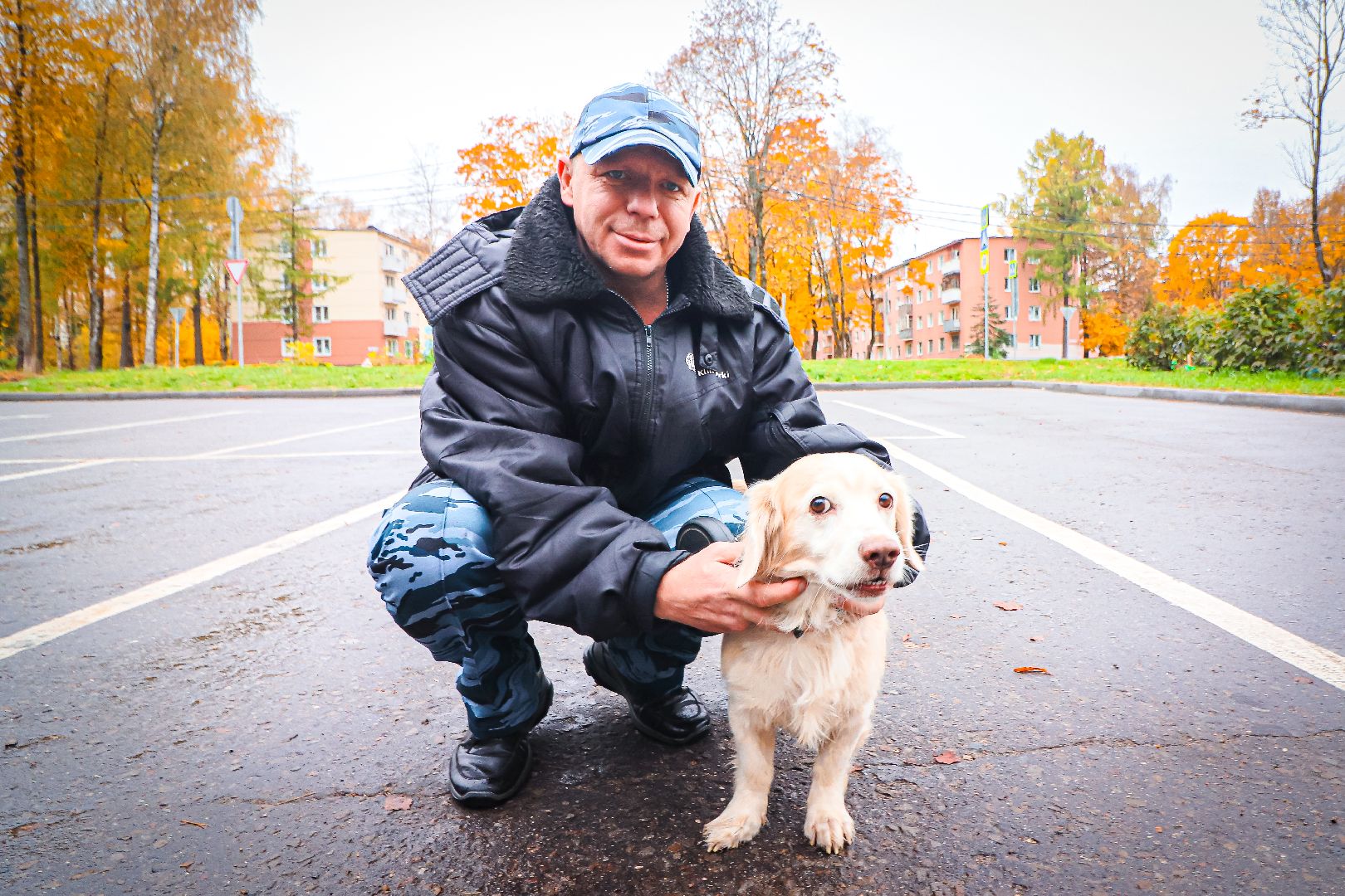 клин, общество, медицина, вакцинация животных, осень, ветеринары,
