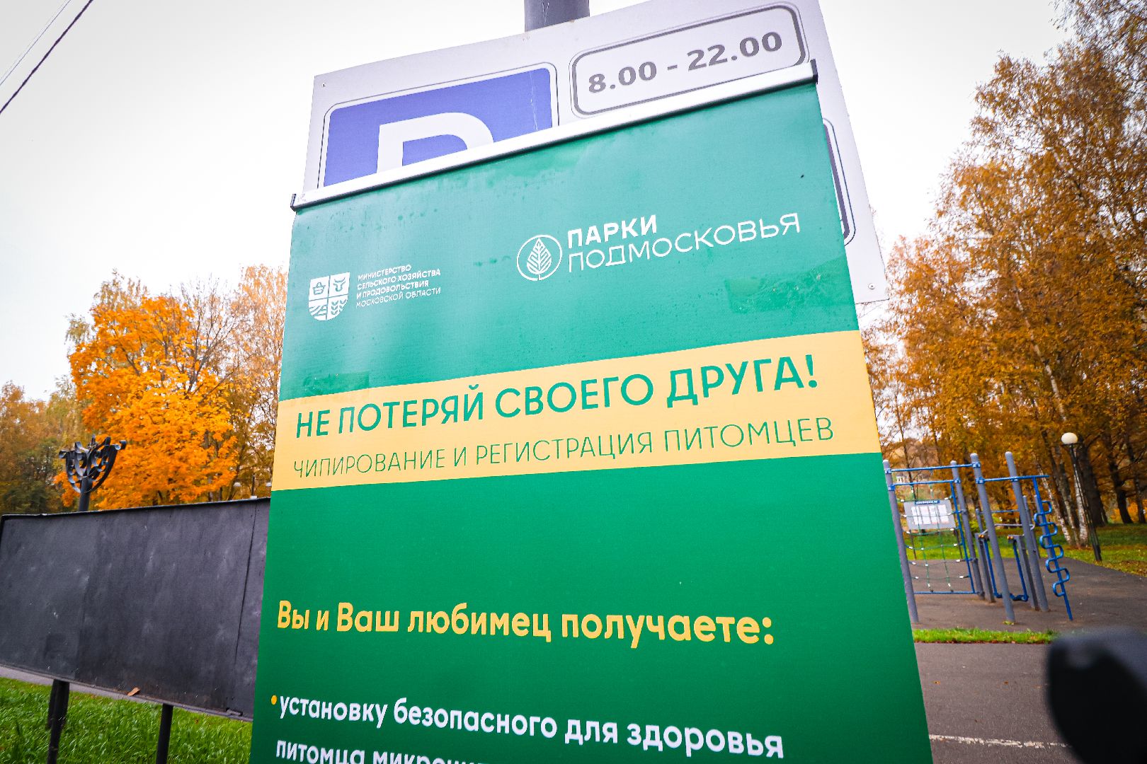 клин, общество, медицина, вакцинация животных, осень, ветеринары,