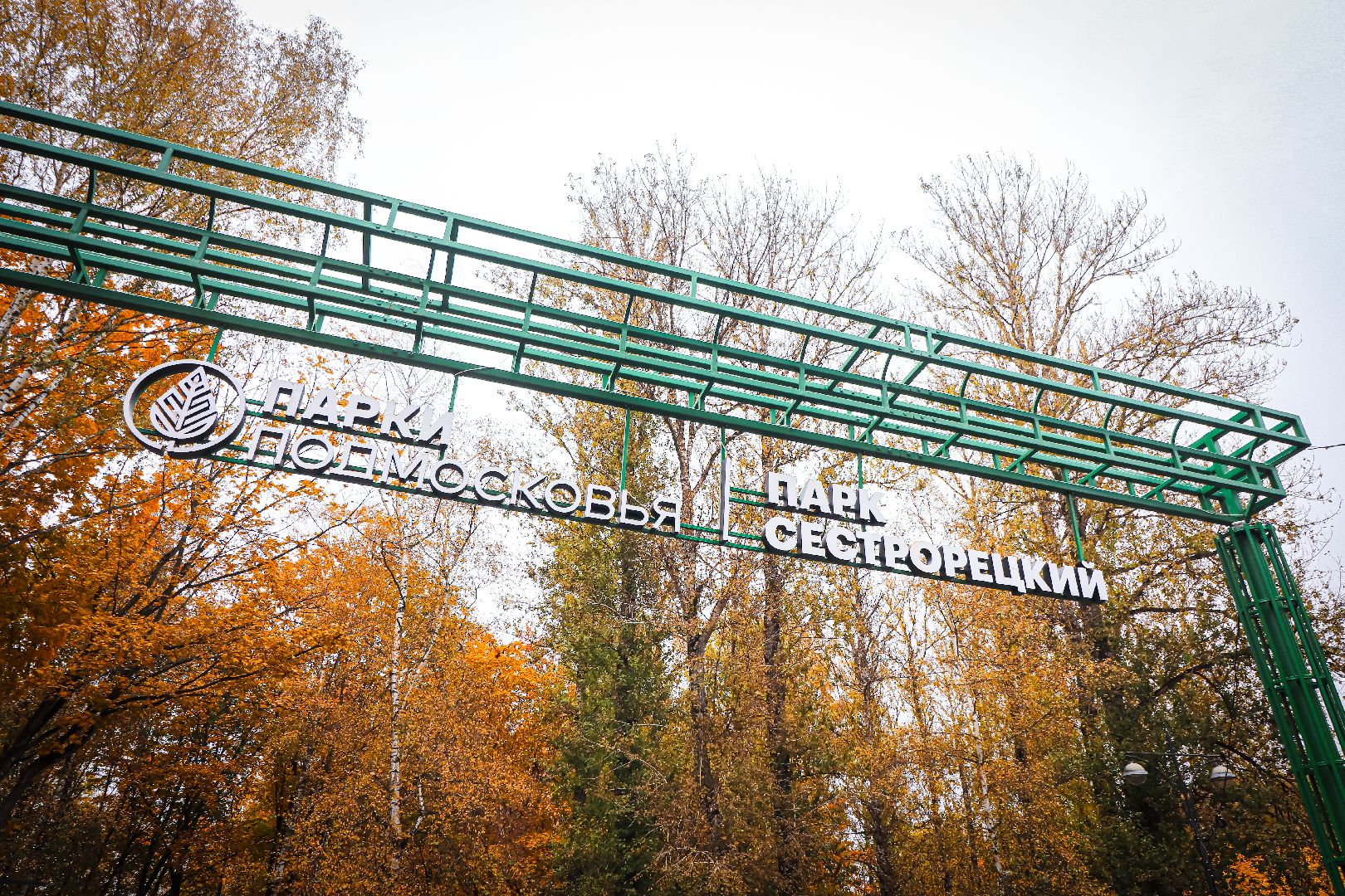 клин, общество, медицина, вакцинация животных, осень, ветеринары,