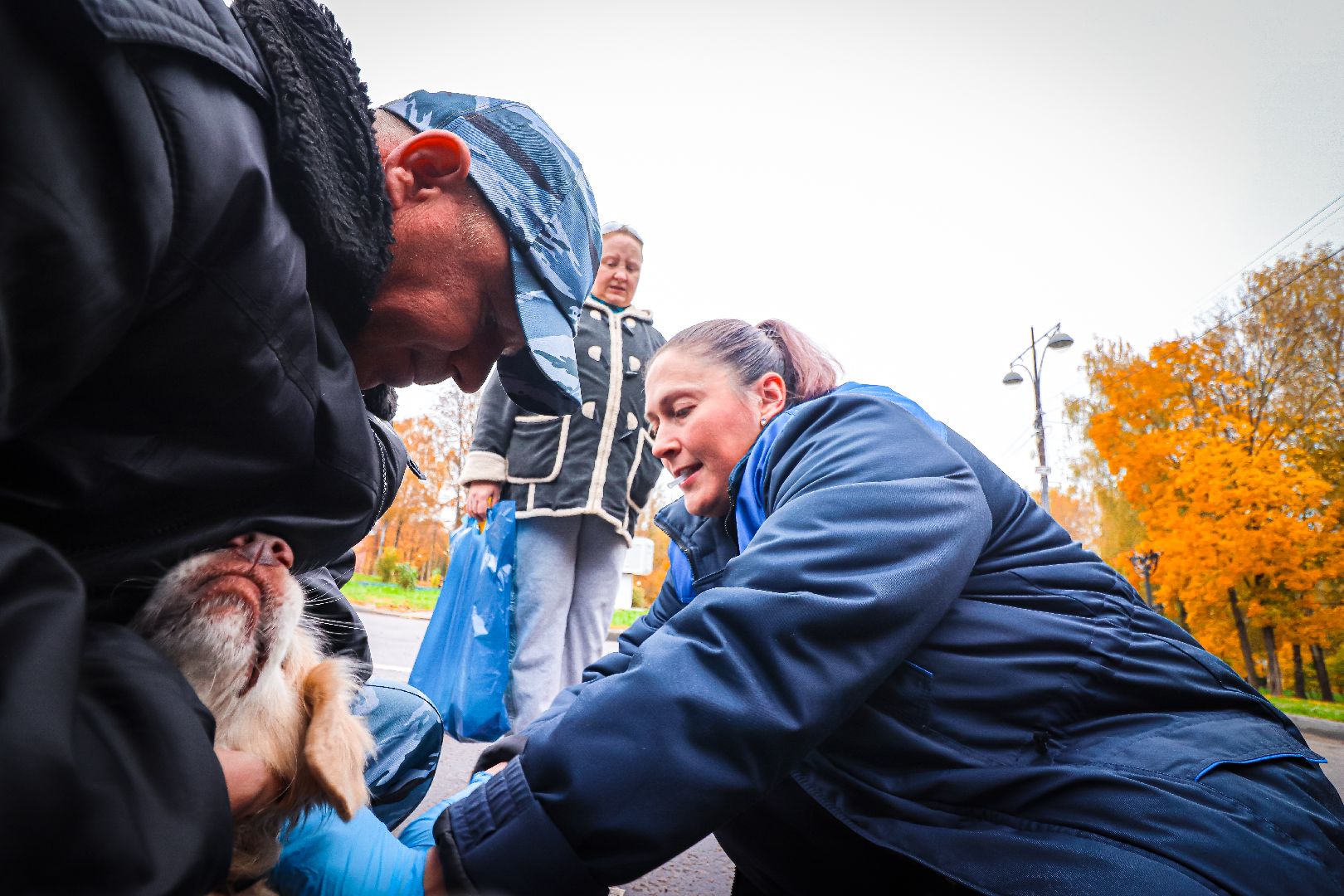 клин, общество, медицина, вакцинация животных, осень, ветеринары,