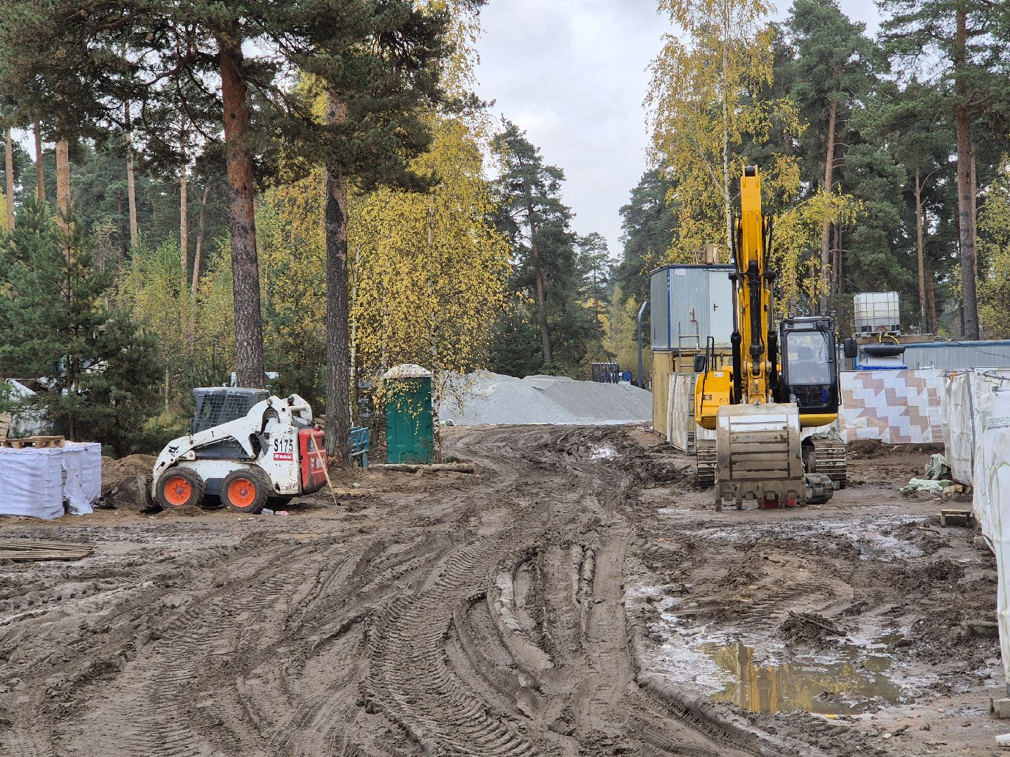 благоустройство парка, парковский лес, орехово-зуево,