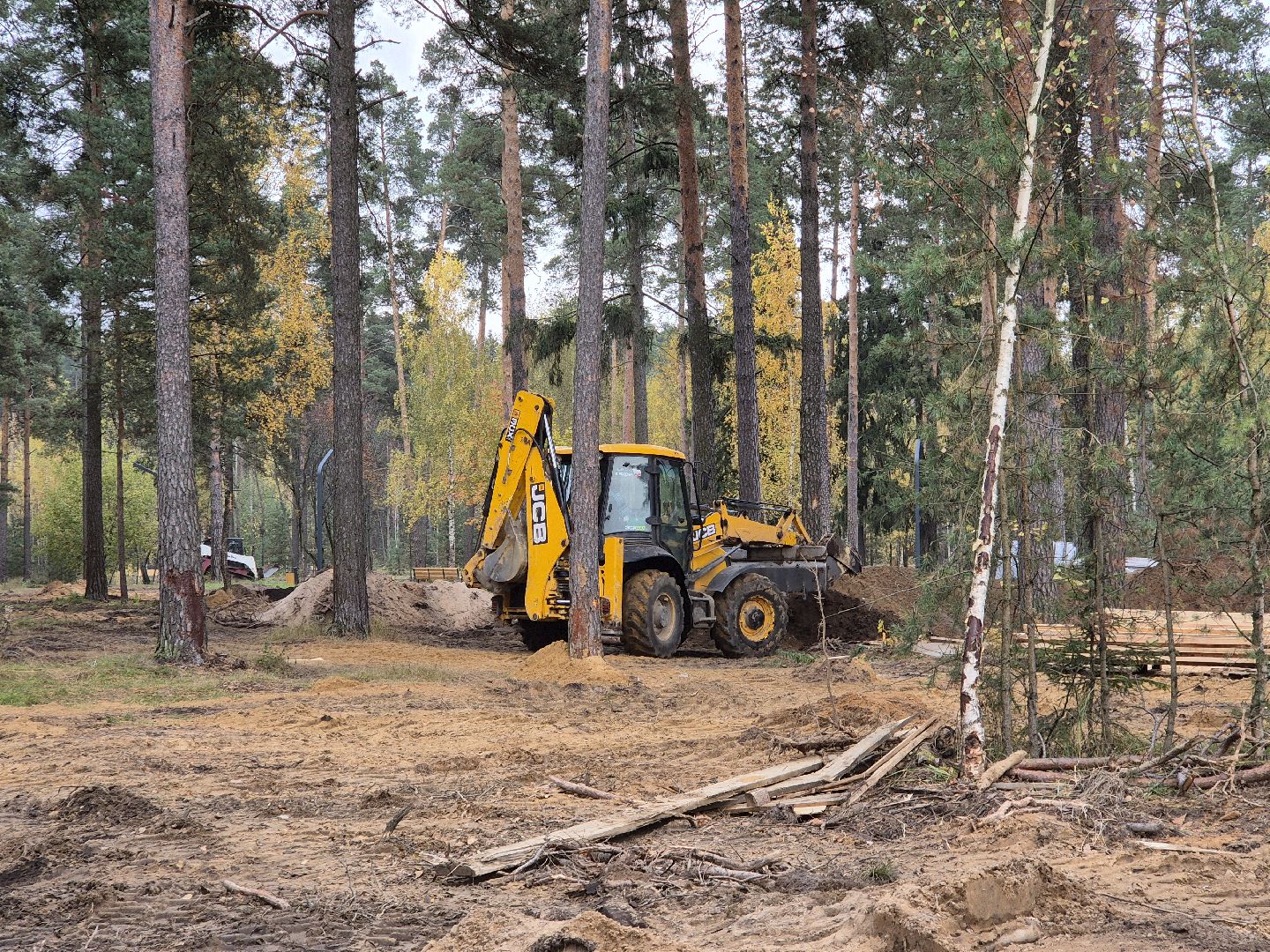 благоустройство парка, парковский лес, орехово-зуево,