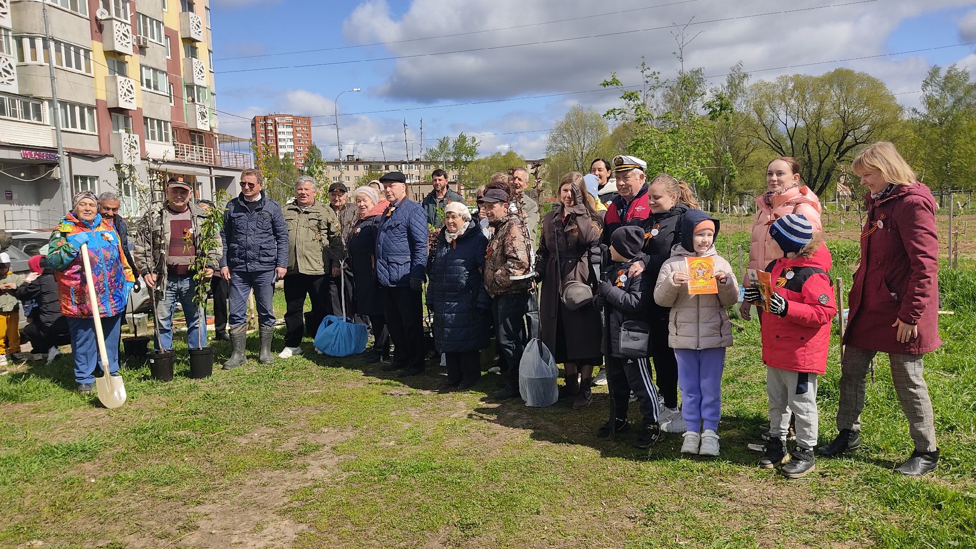 Лобня, дерево, ветеран