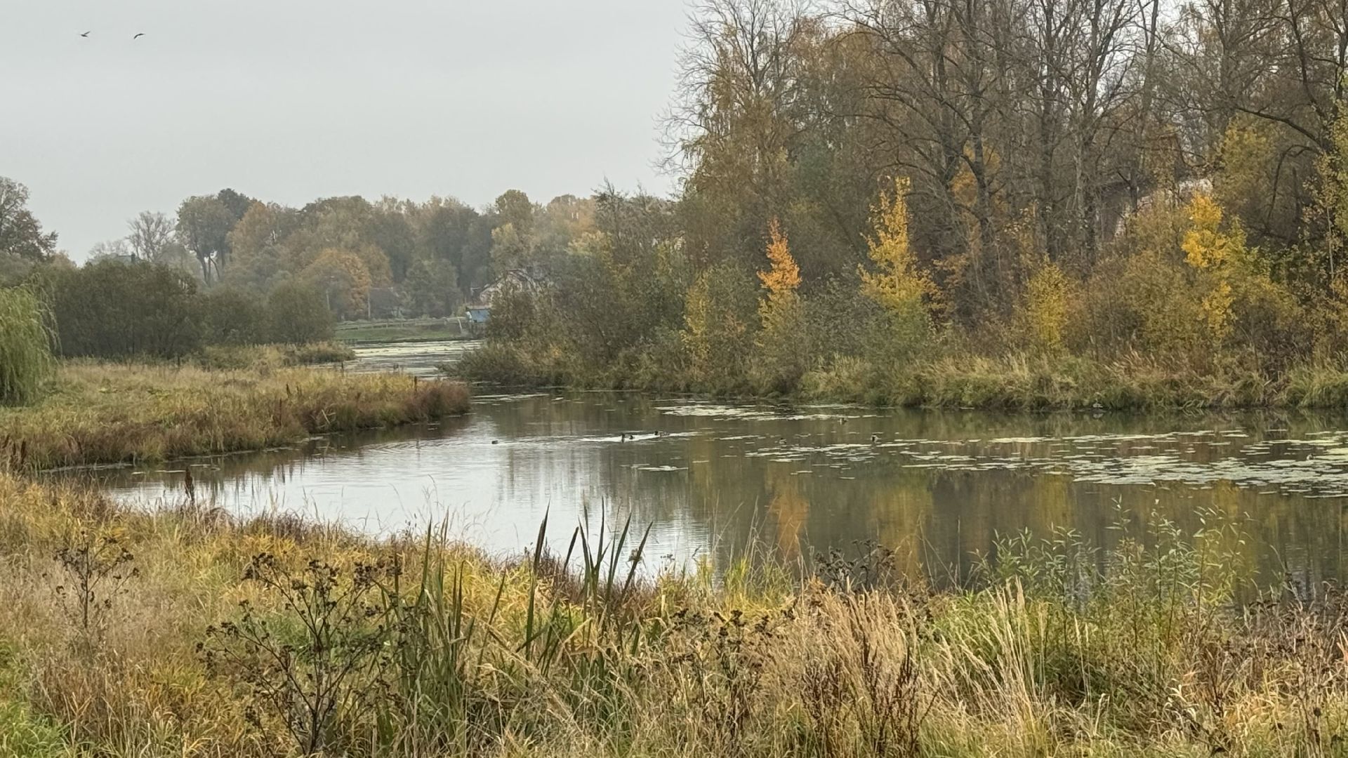 сергиев посад, Фонда по сохранению и воссозданию исторического облика Сергиева Посада, Копнинка,