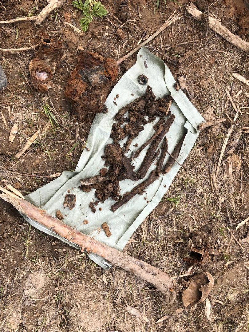 Лобня, поисковики, Ржев