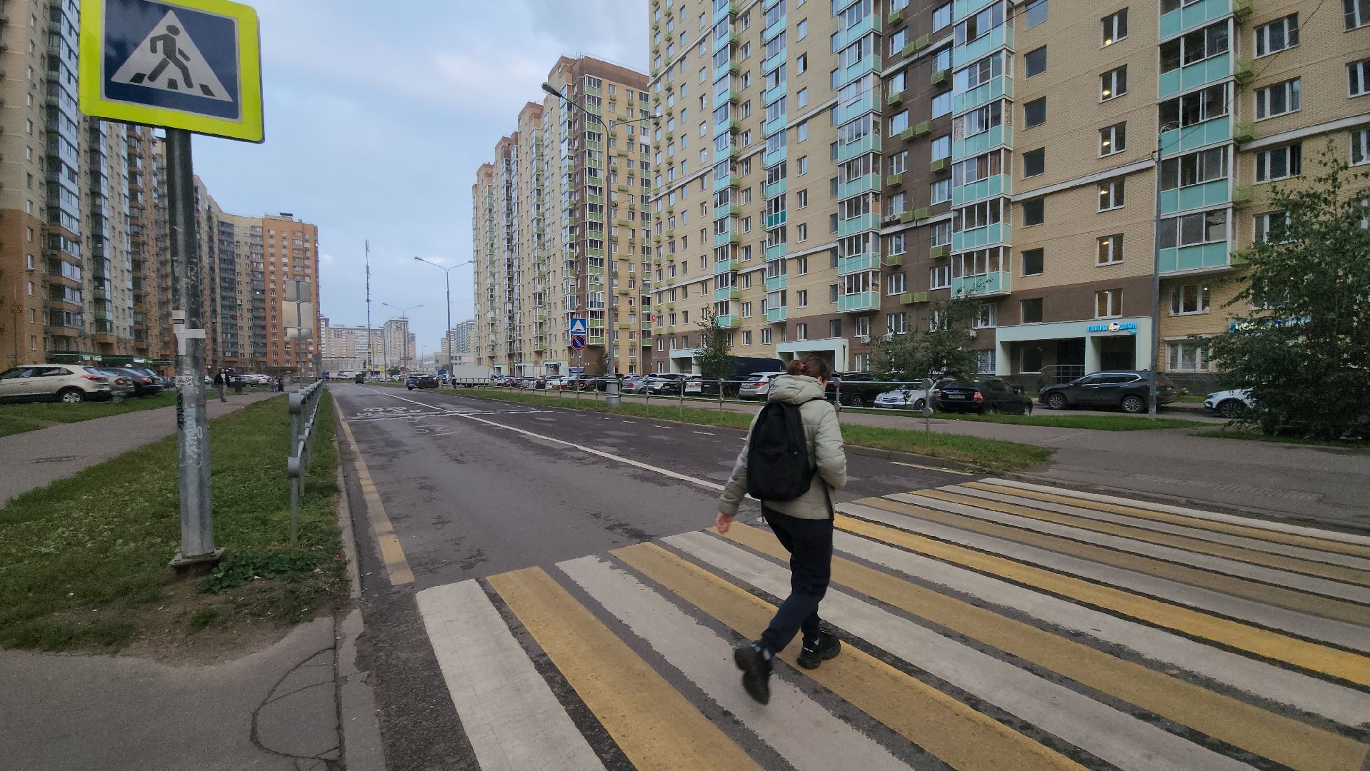 Люберцы, выездная администиация, глава люберец владимир волков, жители,пешеходный переход, безопасность дорожного движения,