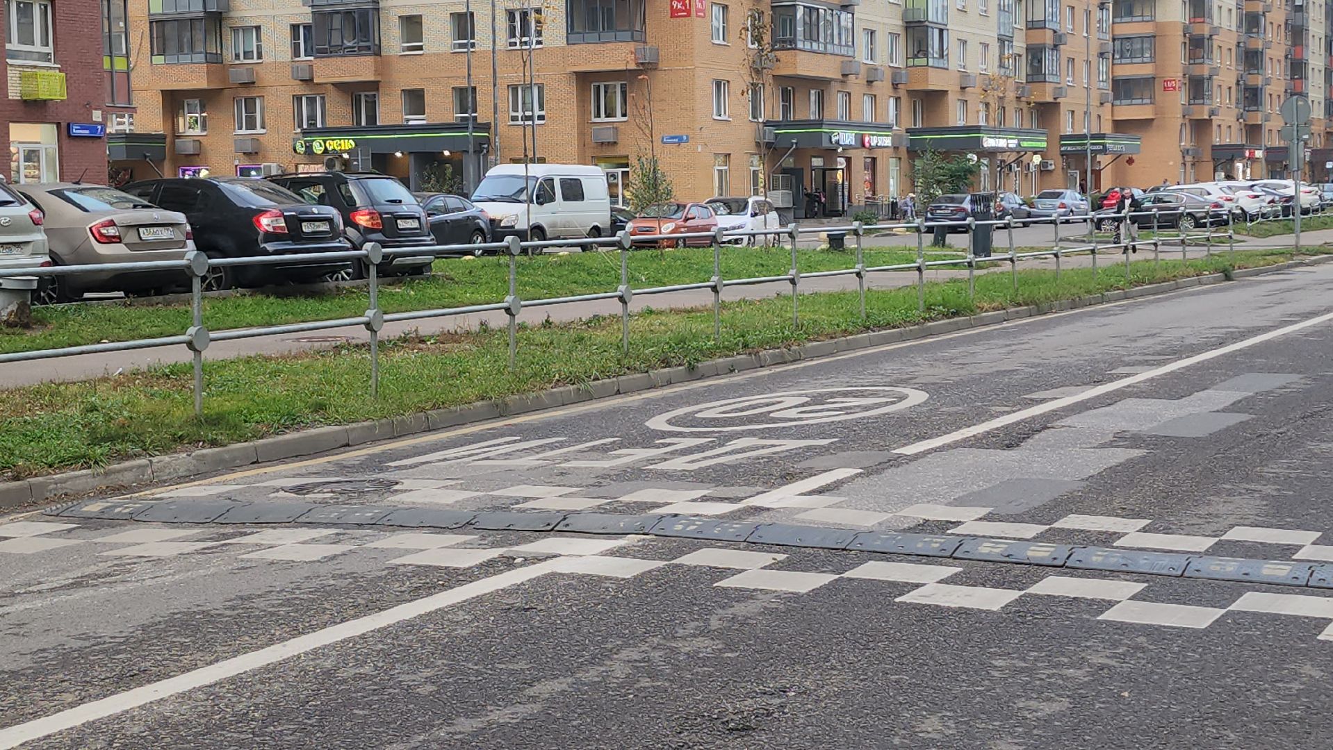 Люберцы, выездная администиация, глава люберец владимир волков, жители,пешеходный переход, безопасность дорожного движения,