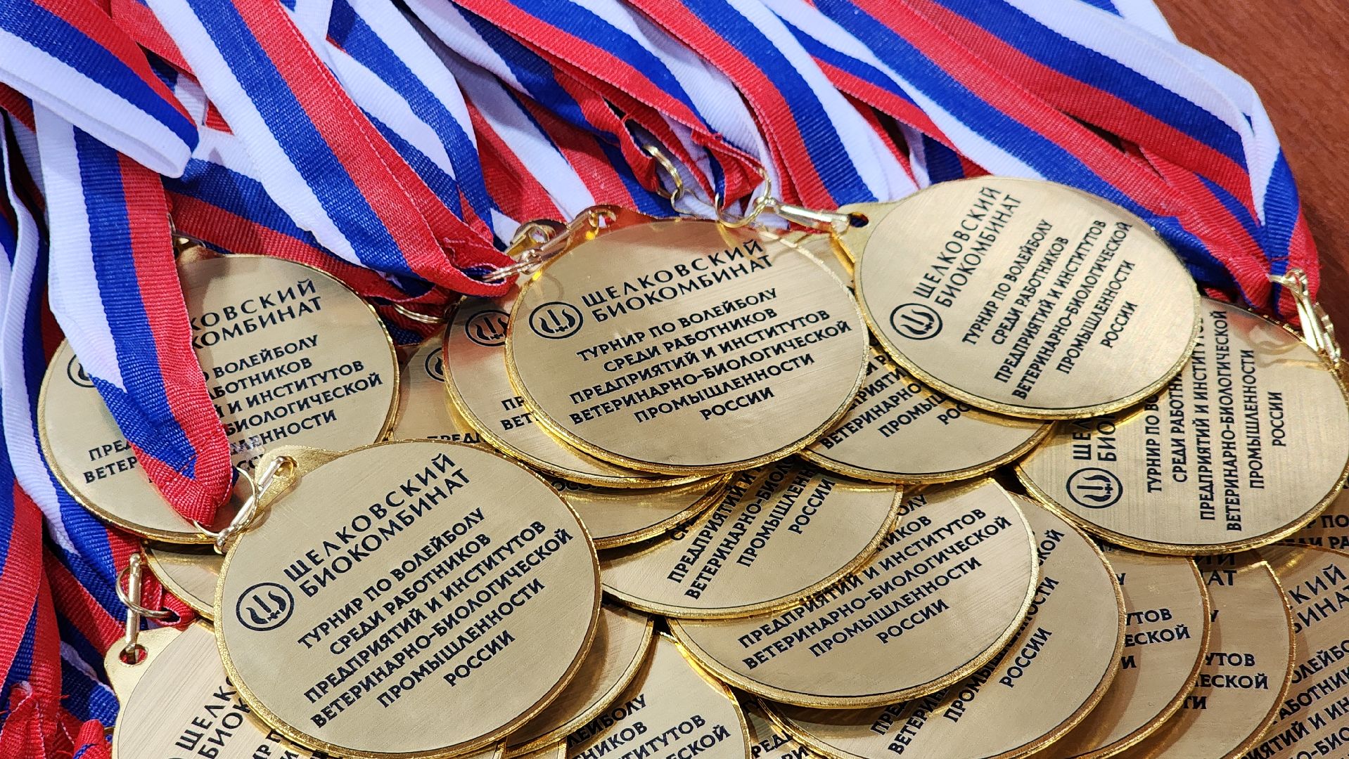 спорт, волейбол, ветеринарно-биологическая промышленность, сельхозпредприятие, щелковский биокомбинат, лосино-петровский,