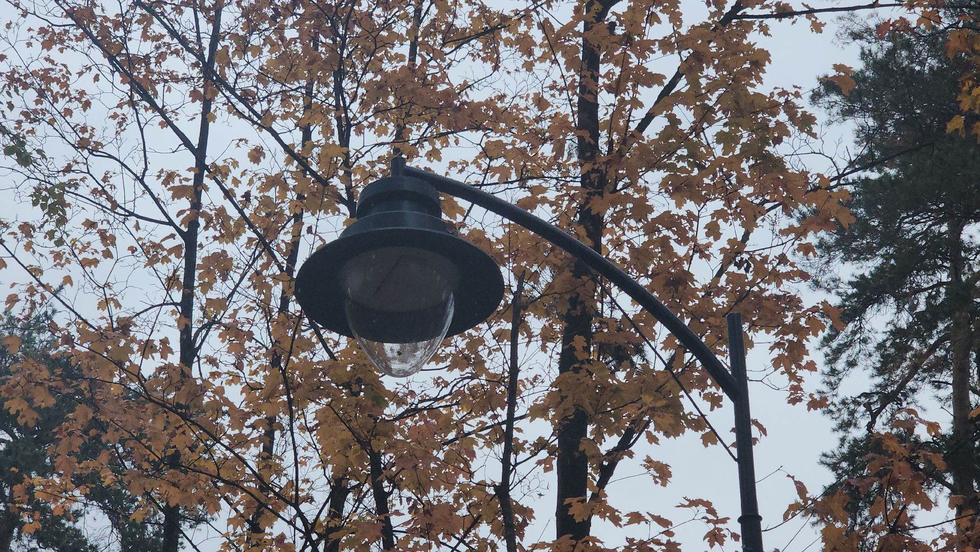 Люберцы, летний парк в малаховке, благоустройство,