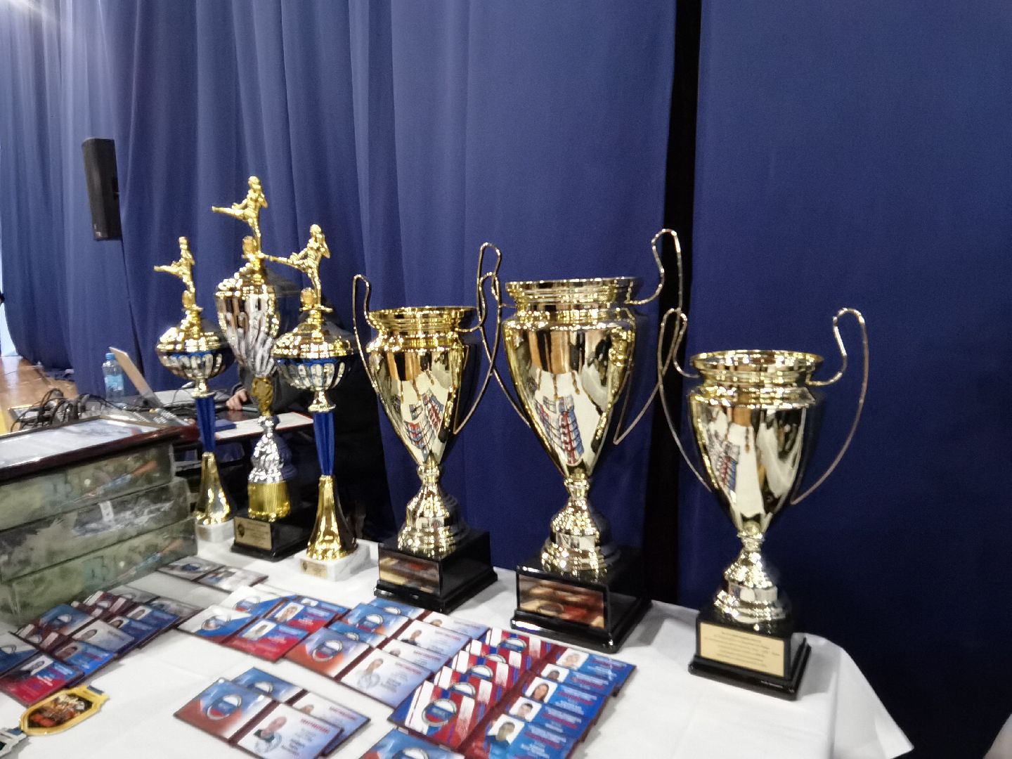 Балашиха, Москва, Роман Новиков, Чемпионат Мира по смешанному рукопашному бою, ММА, Федерация смешанного рукопашного боя, Герой России Александр Головашкин, поединок, все едины