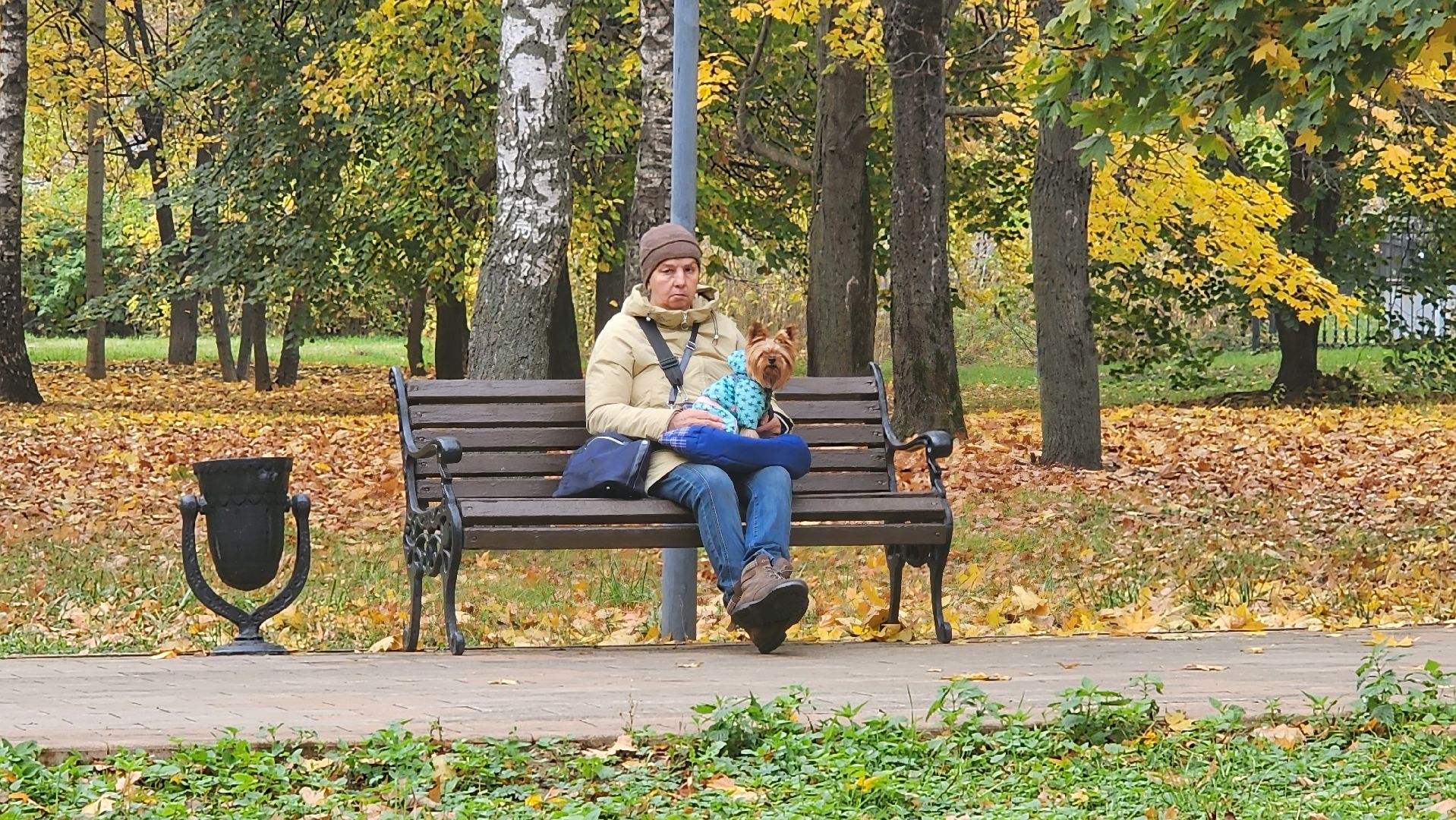 люберцы, чипирование, вакцинация животных,