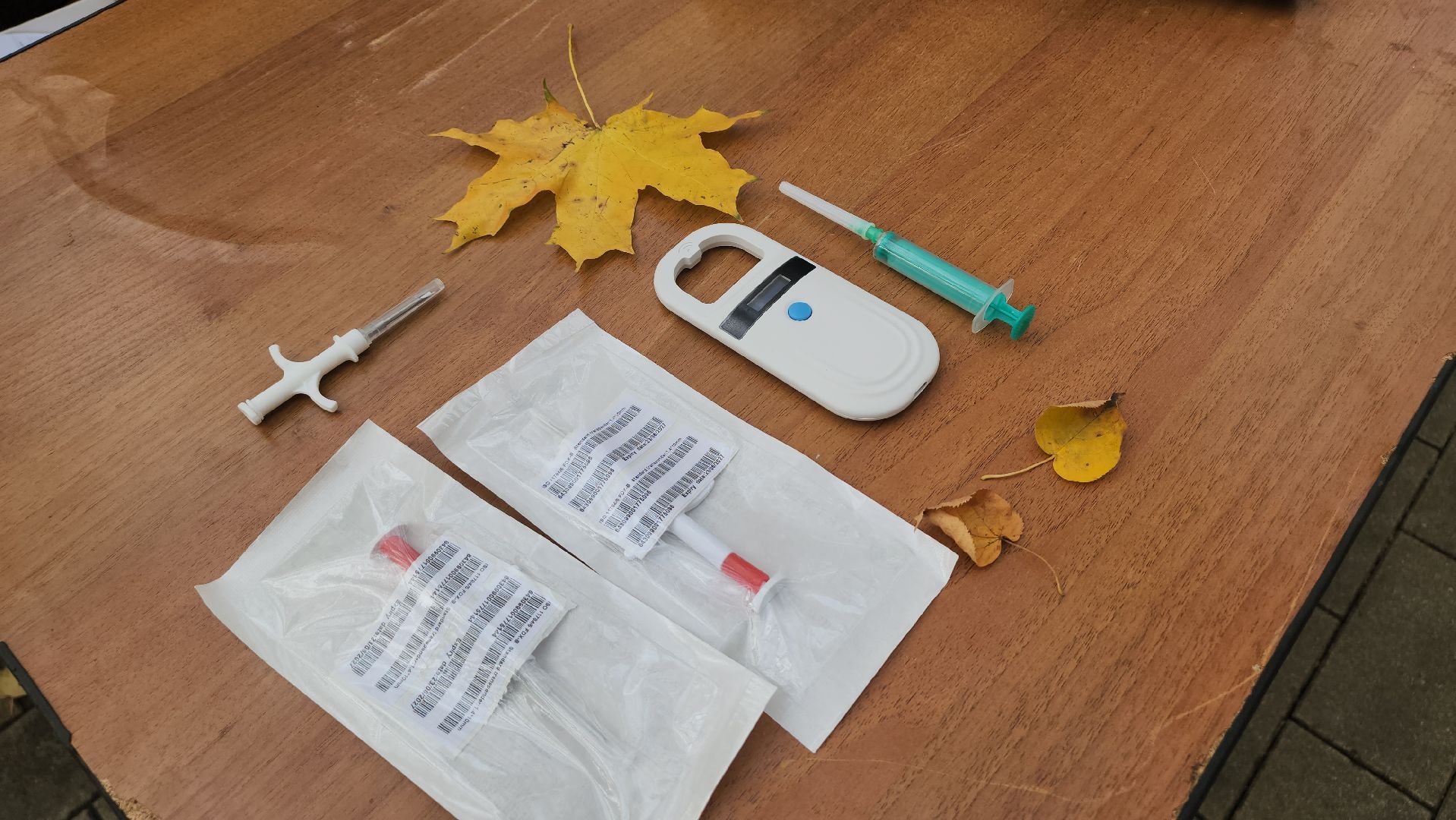 люберцы, чипирование, вакцинация животных,