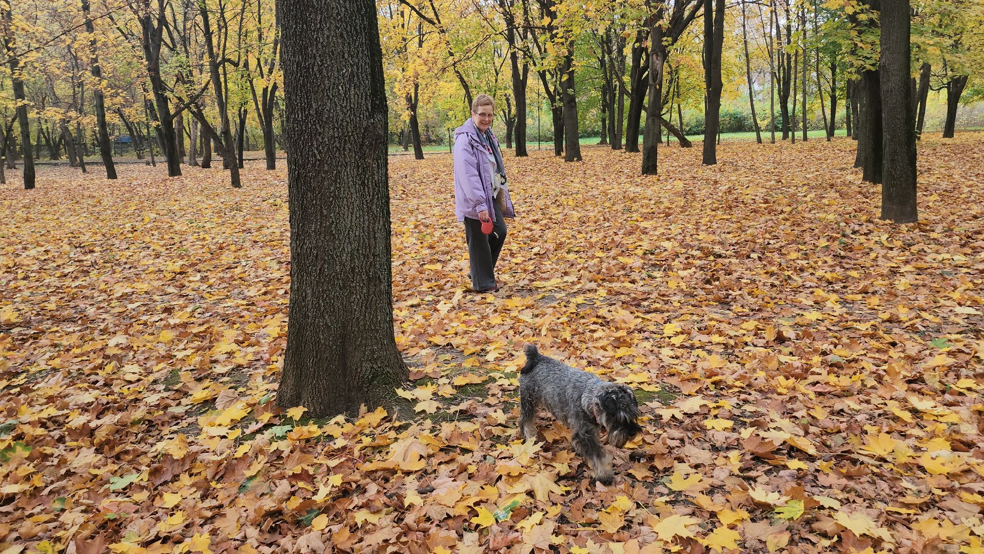 люберцы, чипирование, вакцинация животных,