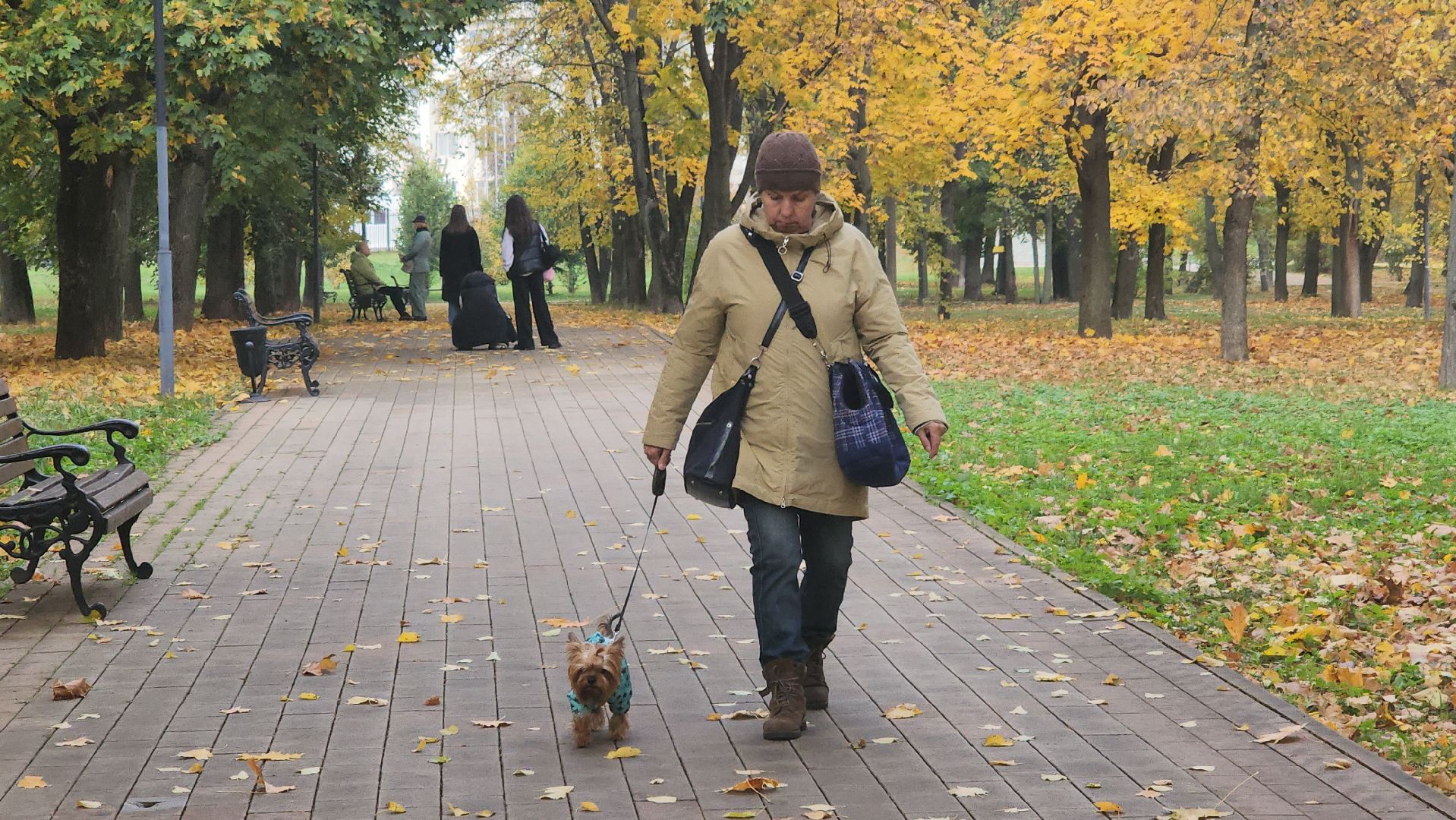 люберцы, чипирование, вакцинация животных,