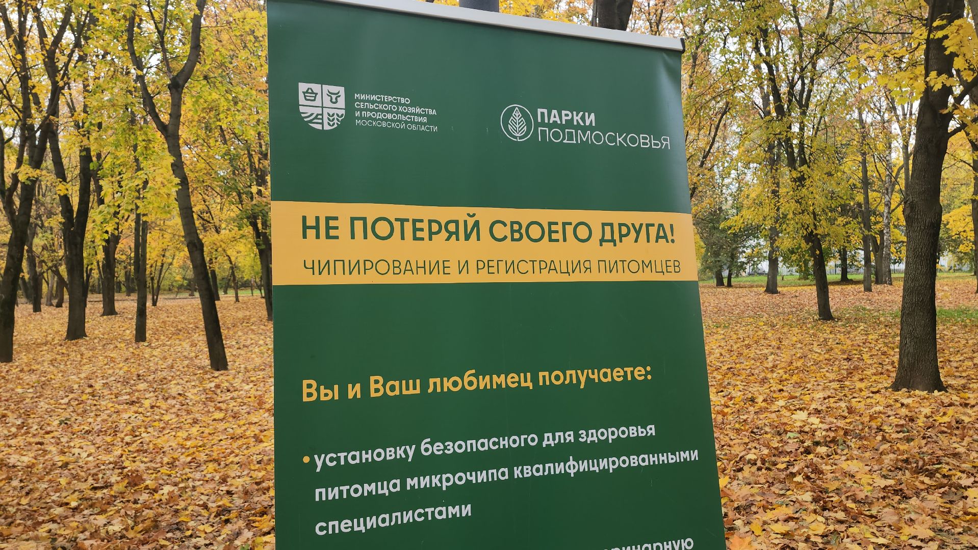 люберцы, чипирование, вакцинация животных,