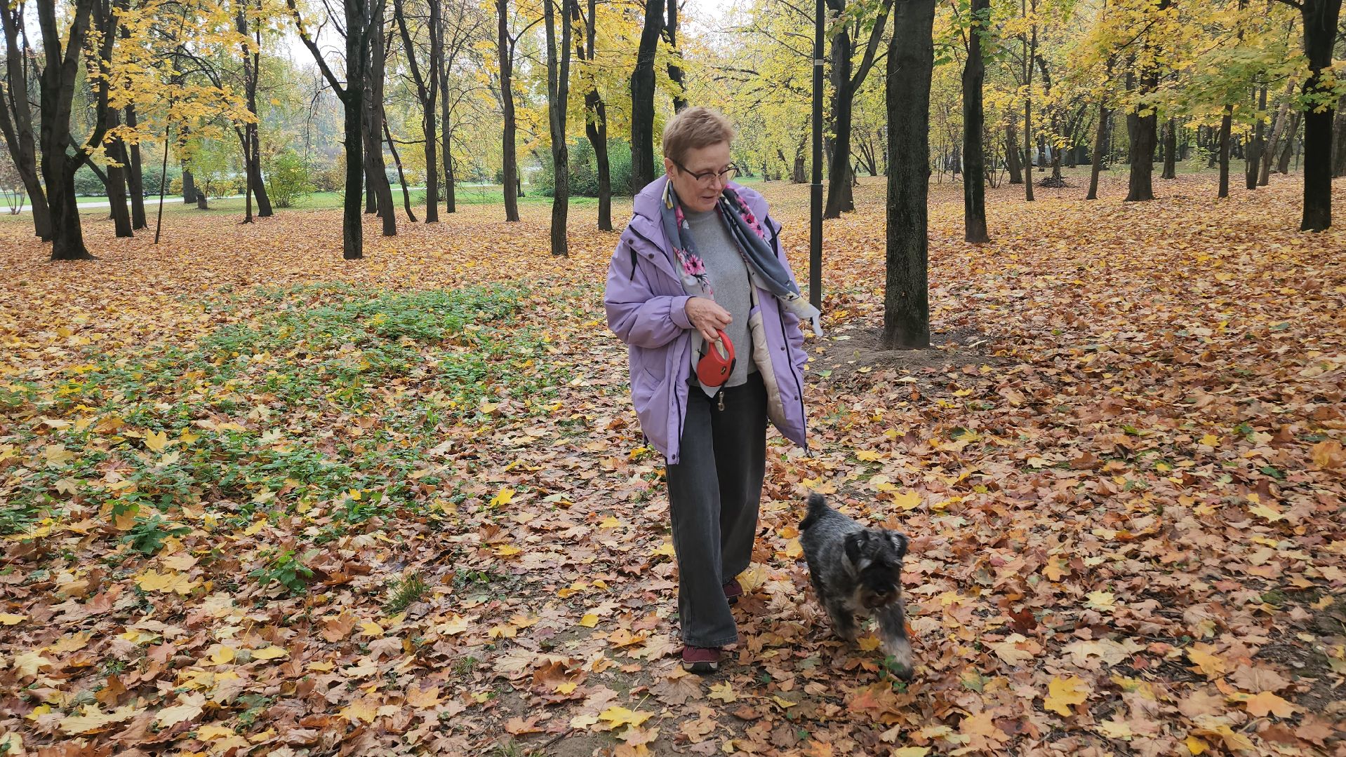 люберцы, чипирование, вакцинация животных,