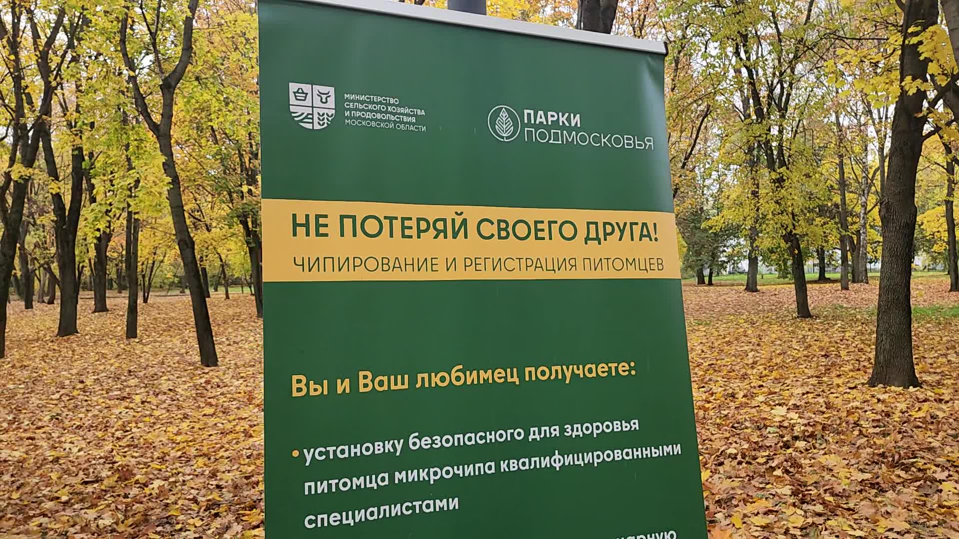 /mediabank_mount//82710/8db14690b40bc8a78ad907dfc7f7a86d.jpg