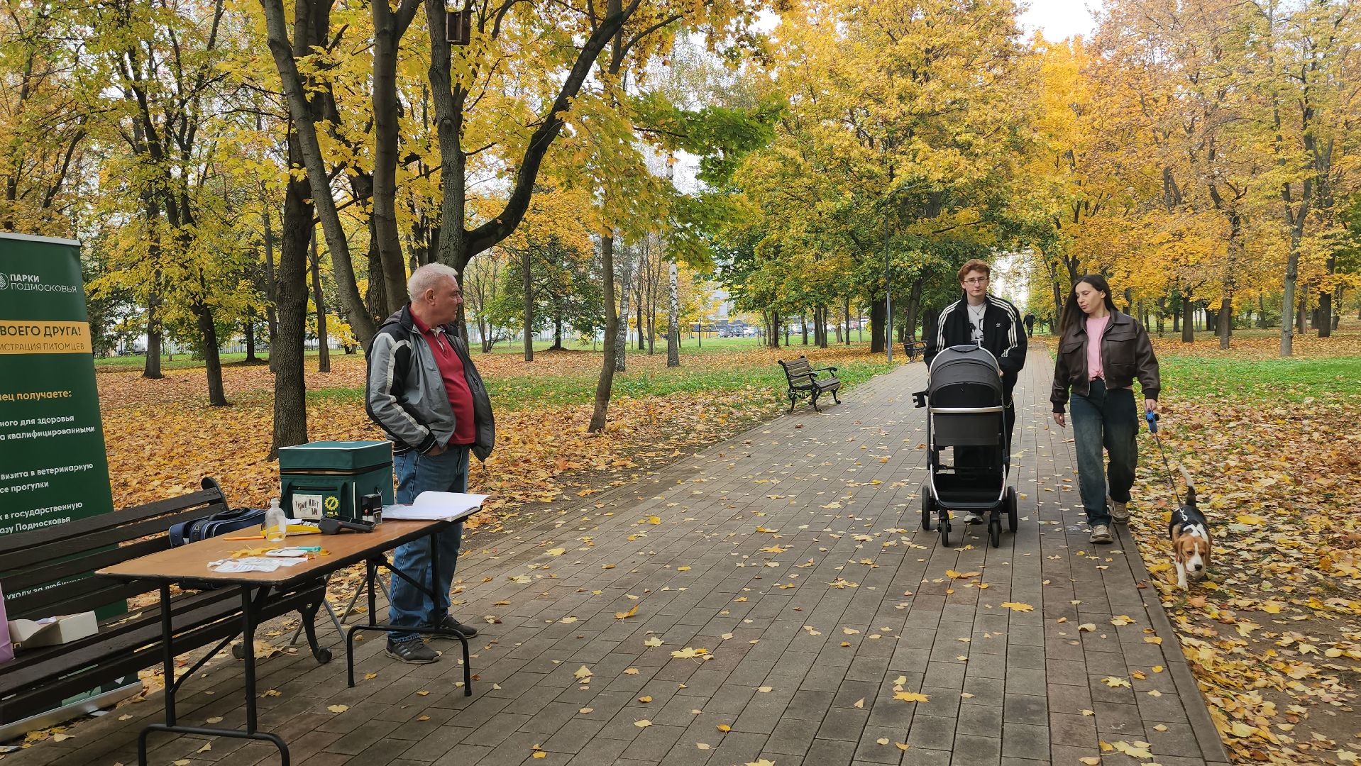 люберцы, чипирование, вакцинация животных,