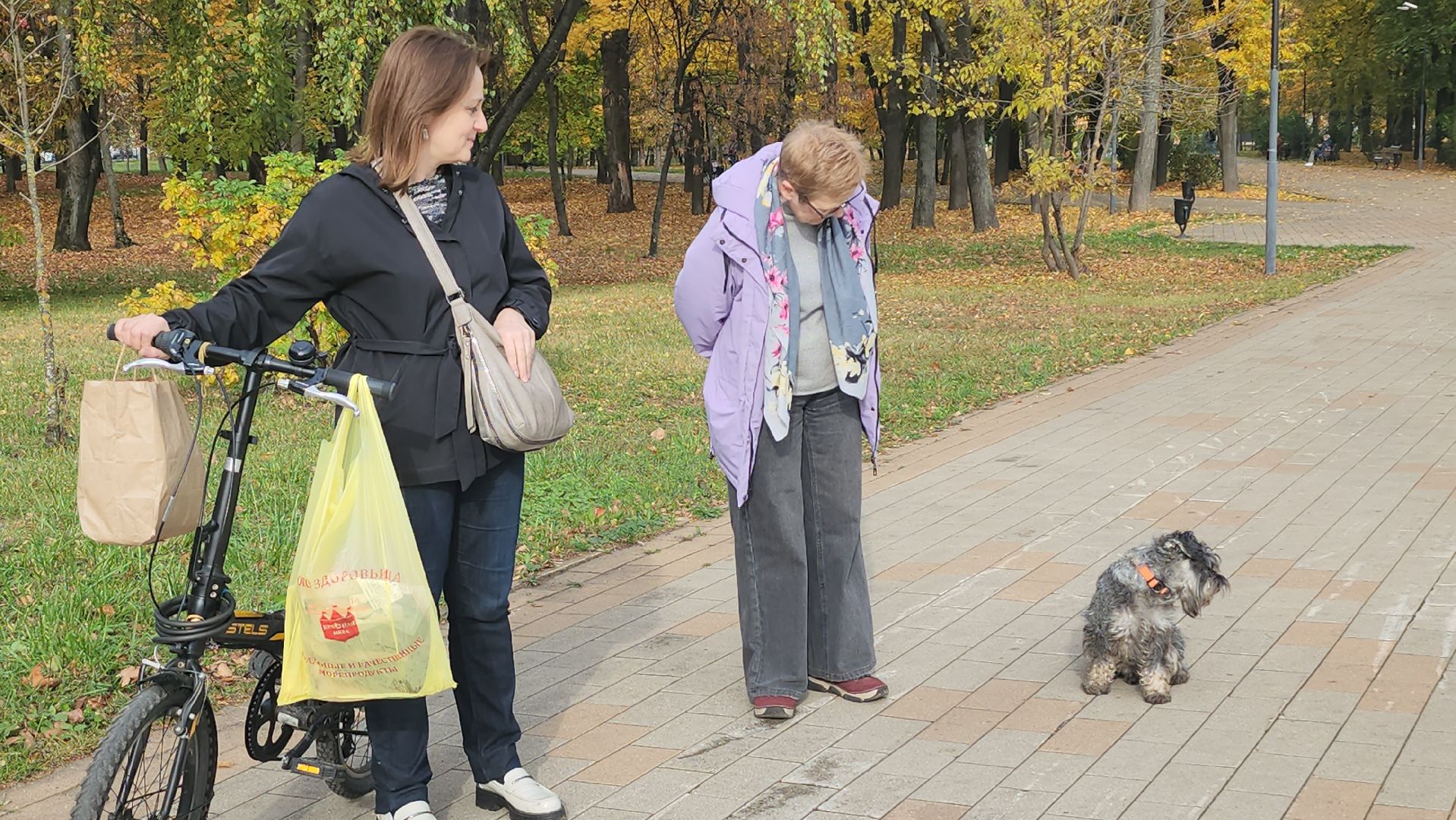 люберцы, чипирование, вакцинация животных,