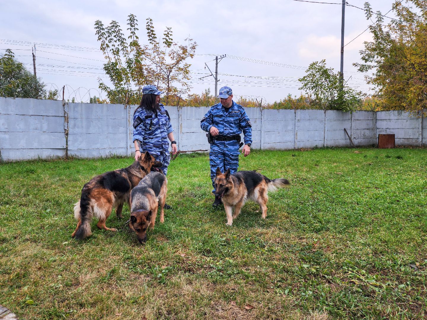 Подольск, Кинолог, Семья, Служебные собаки,День полиции, Служба в полиции,