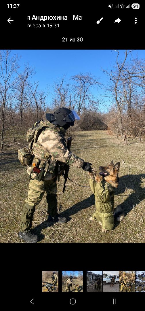 Подольск, Кинолог, Семья, Служебные собаки,День полиции, Служба в полиции,