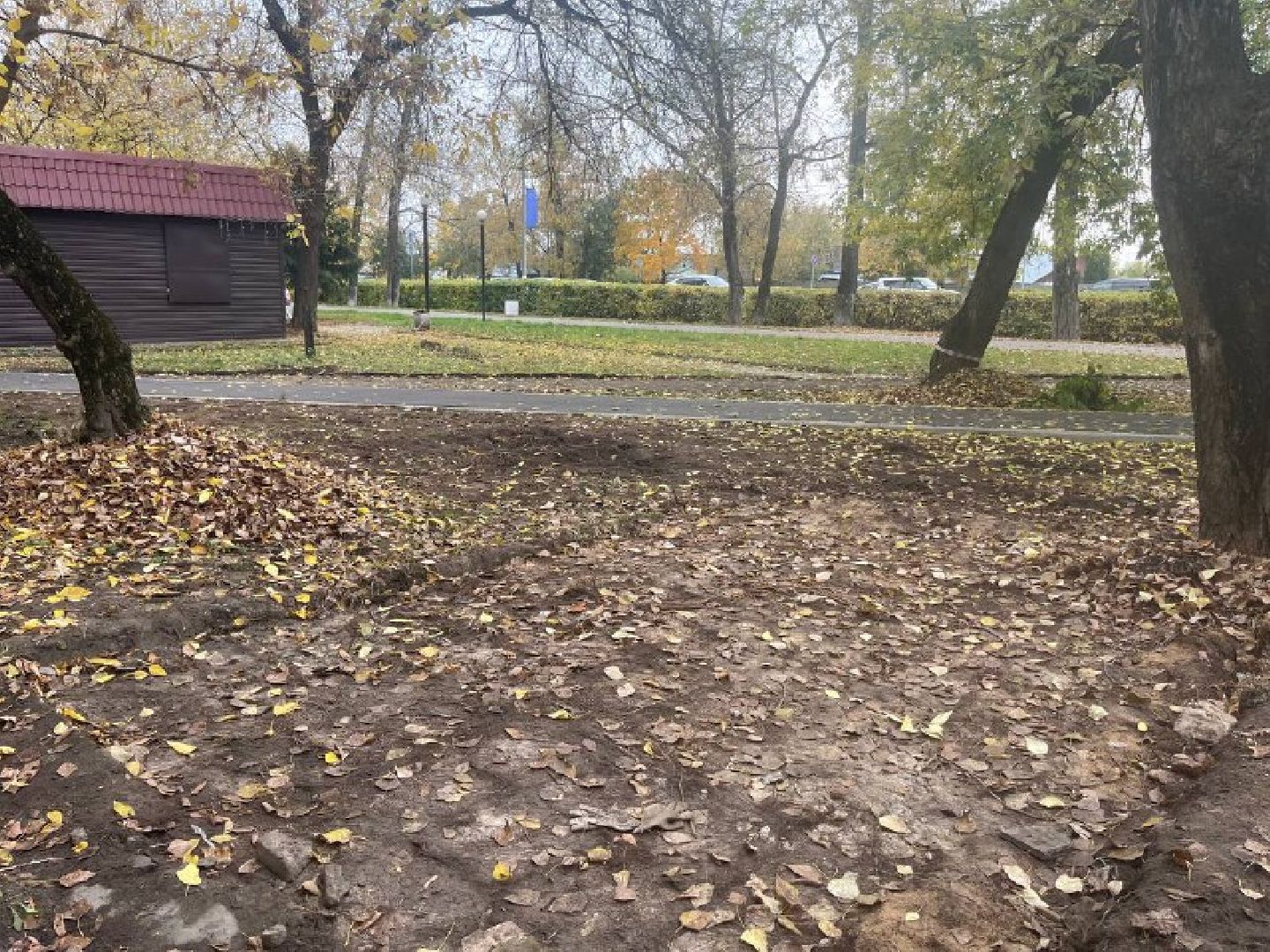 красногорск, дорожка, тропинка,  благоустройство,