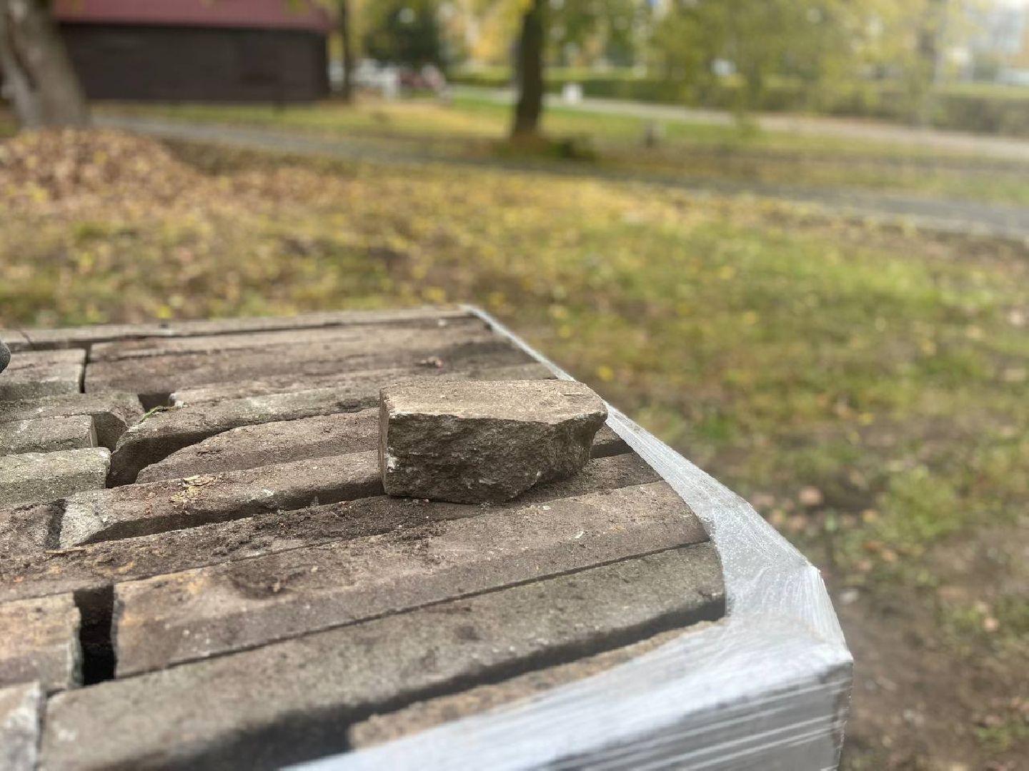 красногорск, дорожка, тропинка,  благоустройство,