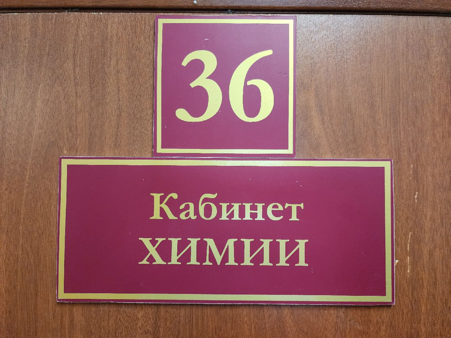 электросталь,  общество, школа, образование, учитель, герой, молодой специалист,