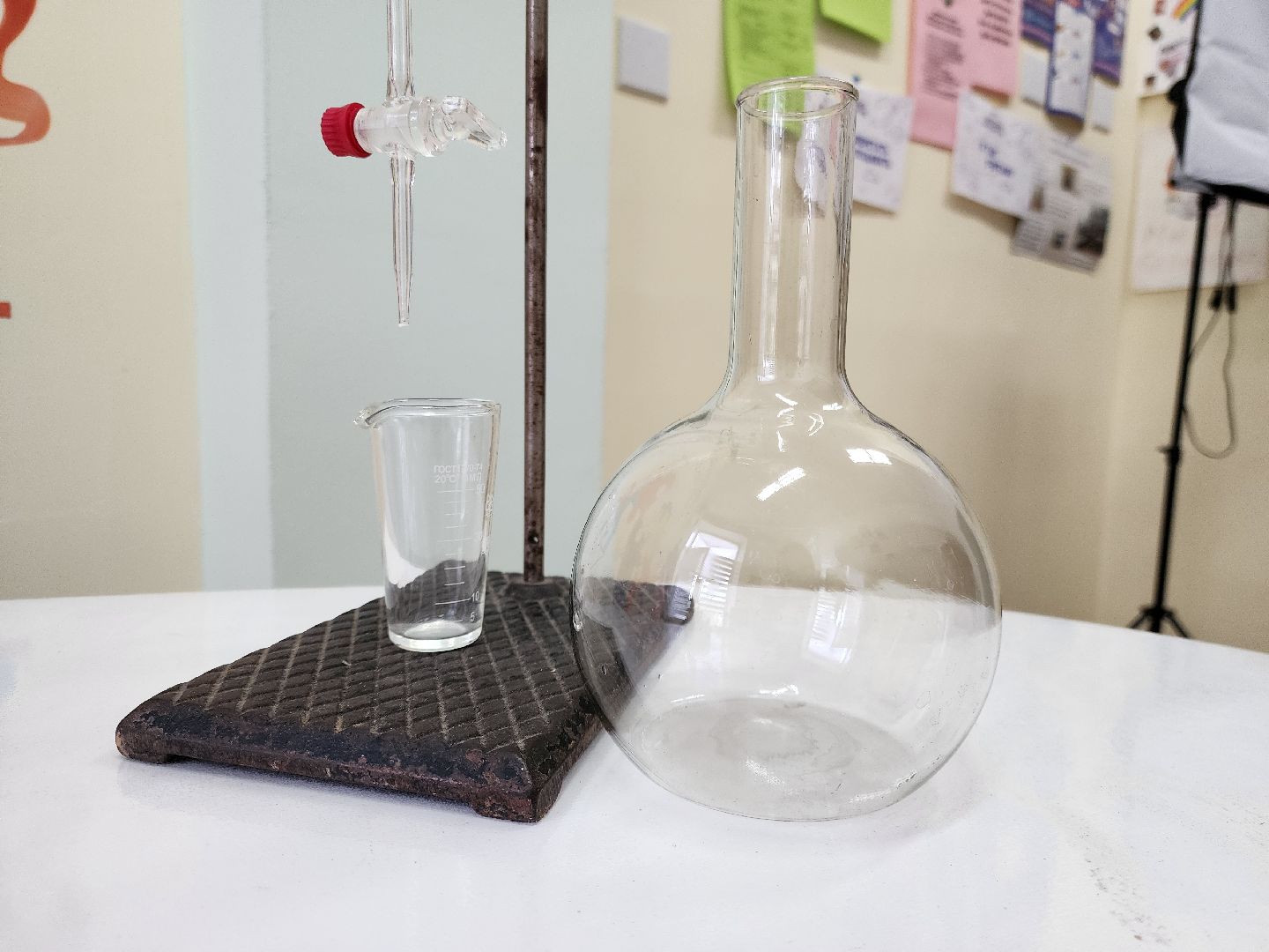 электросталь,  общество, школа, образование, учитель, герой, молодой специалист,