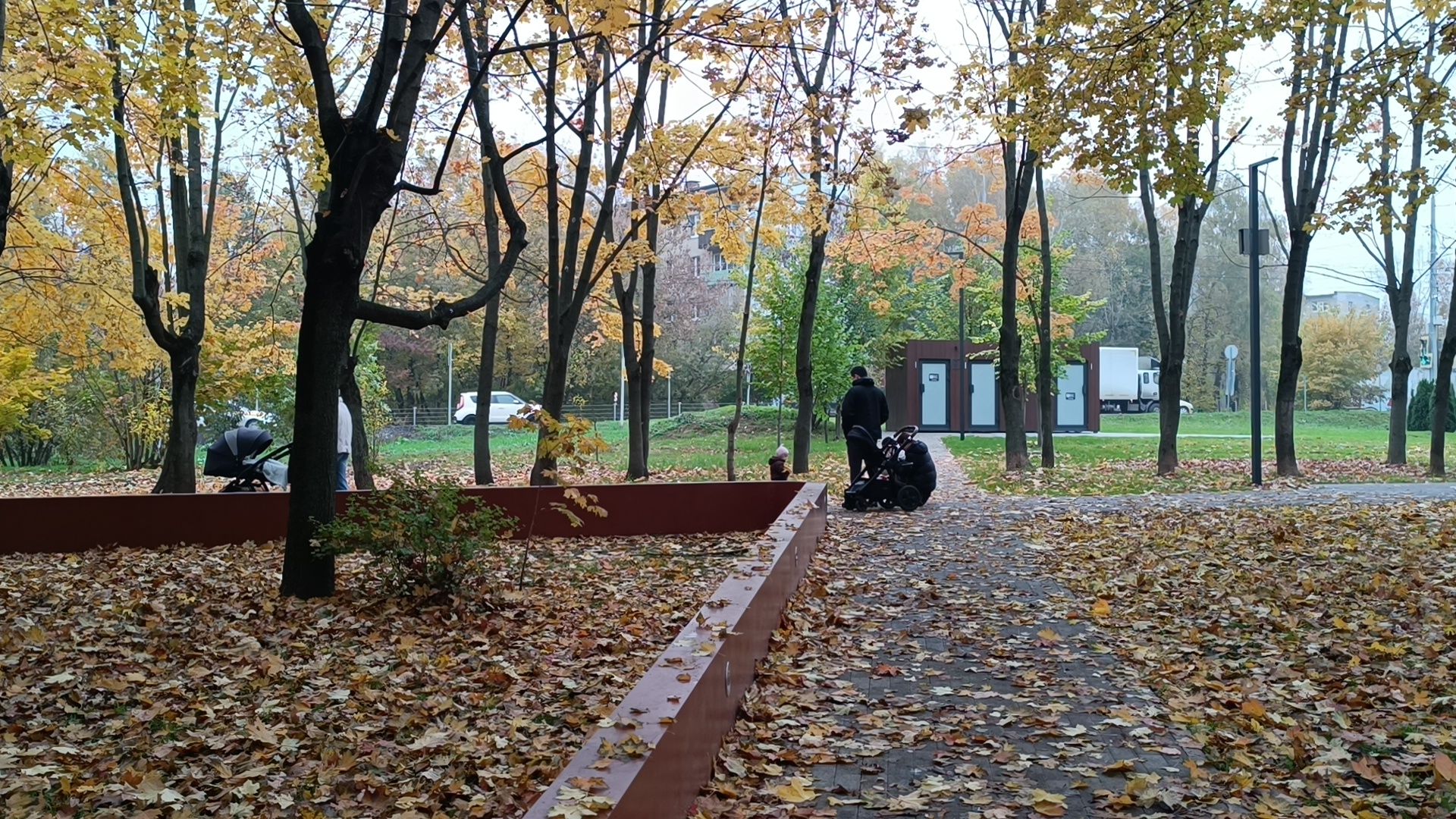 парк , реконструкция, лобня,