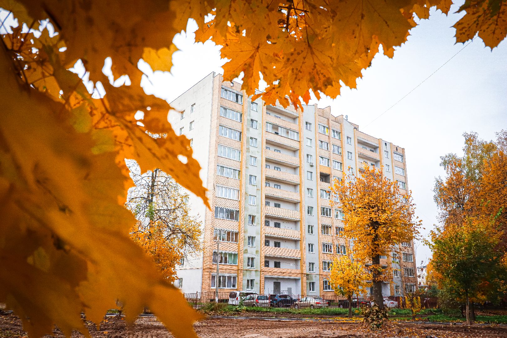 клин, общество, благоустройство, скверы, подмосковье,