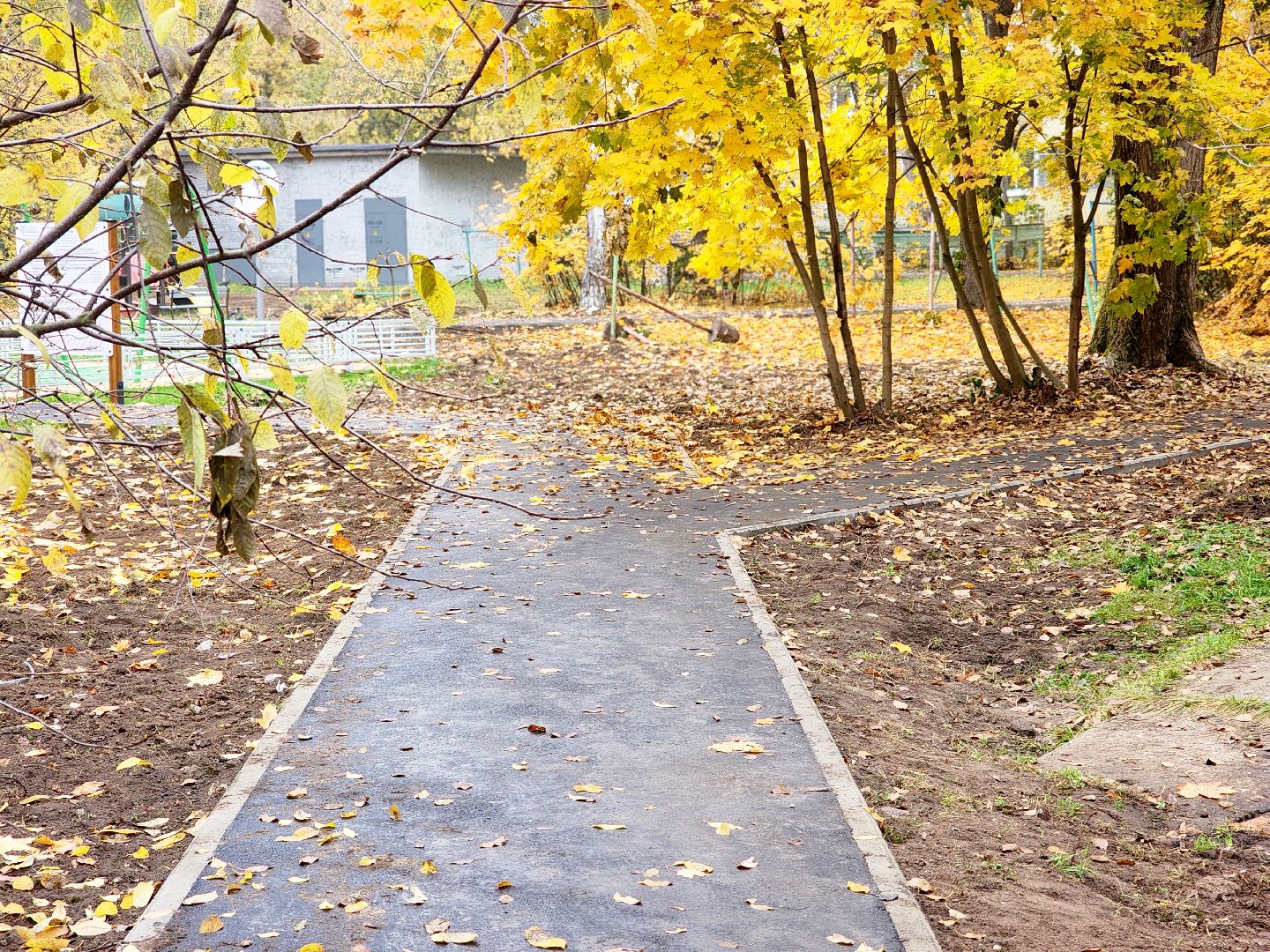 дубна,  комплексное благоустройство дворов, входные группы, новая парковка,асфальтирование дворов,
