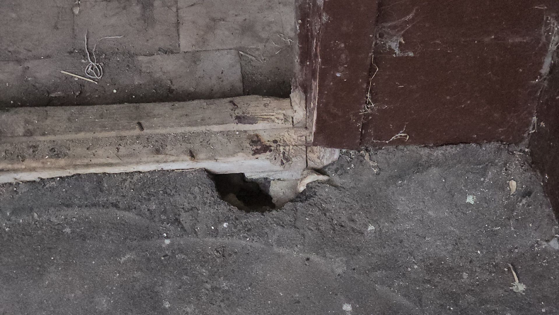 щёлково, выездная администиация, ремонт дома,