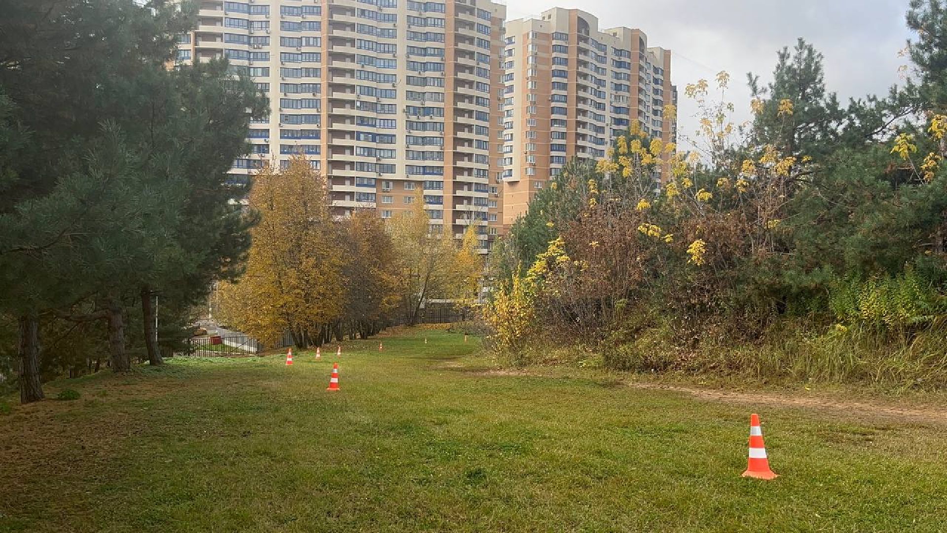 красногорск, забег, лига героев,