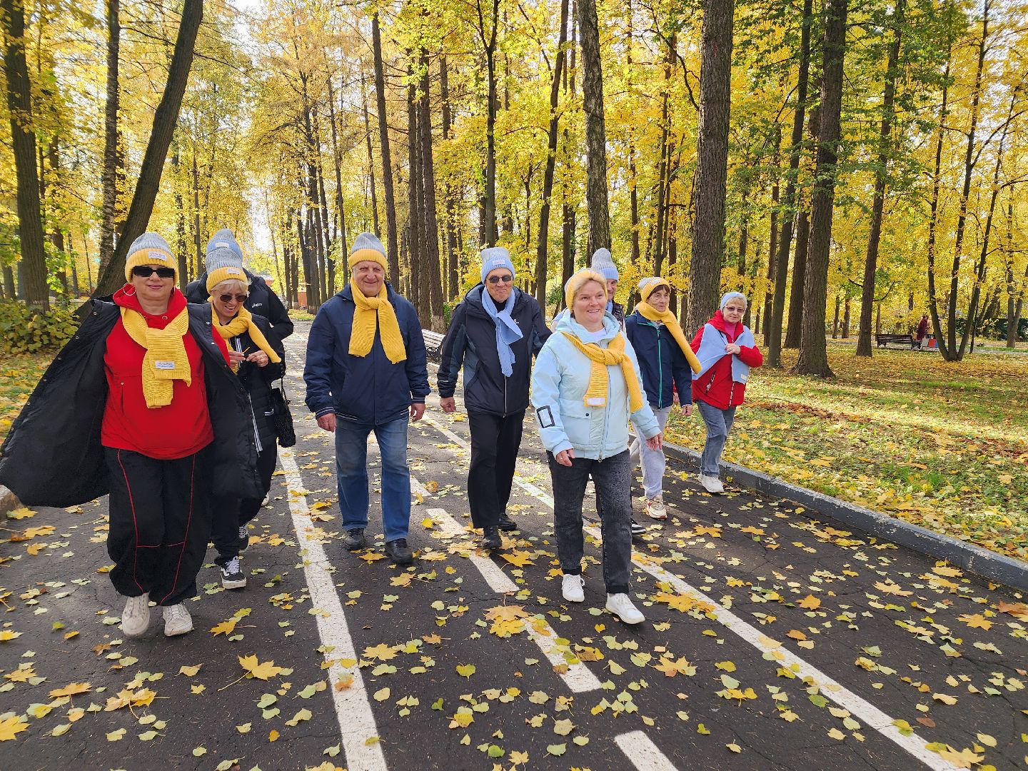 солнечногорск, ходьба, пенсионеры, спорт, долголетие ,