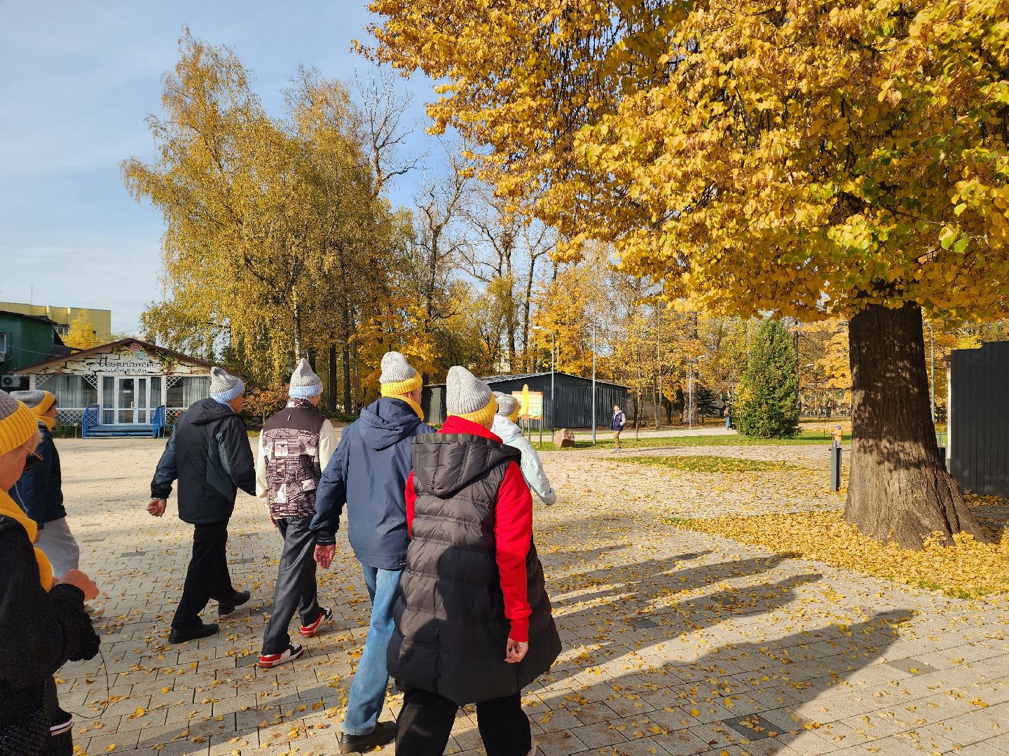 солнечногорск, ходьба, пенсионеры, спорт, долголетие ,