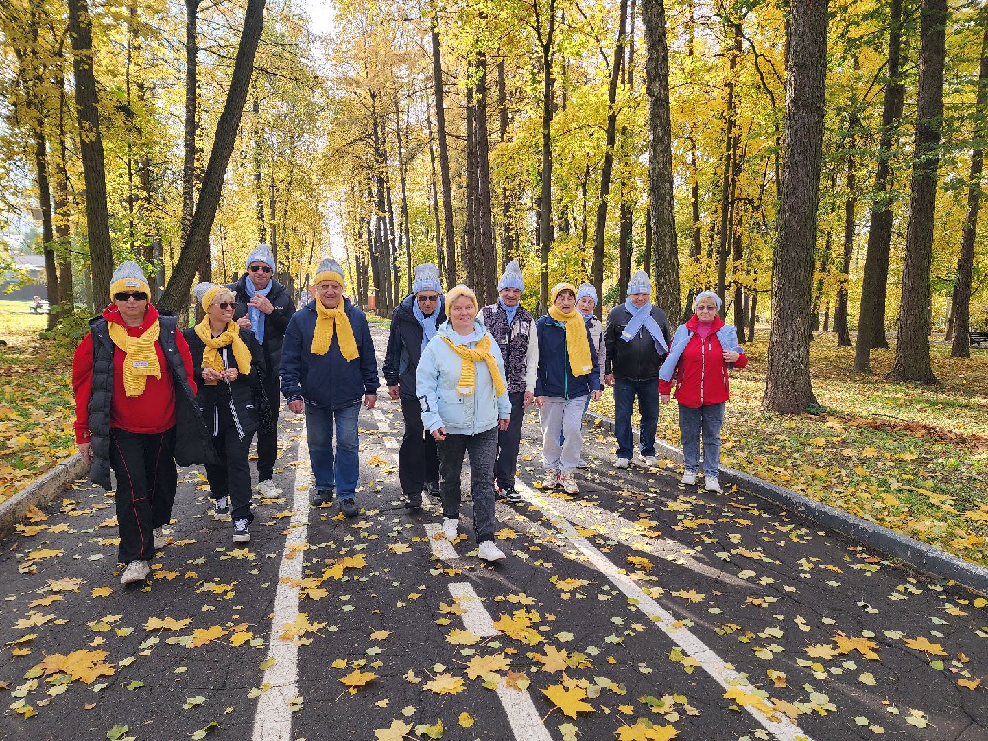 солнечногорск, ходьба, пенсионеры, спорт, долголетие ,