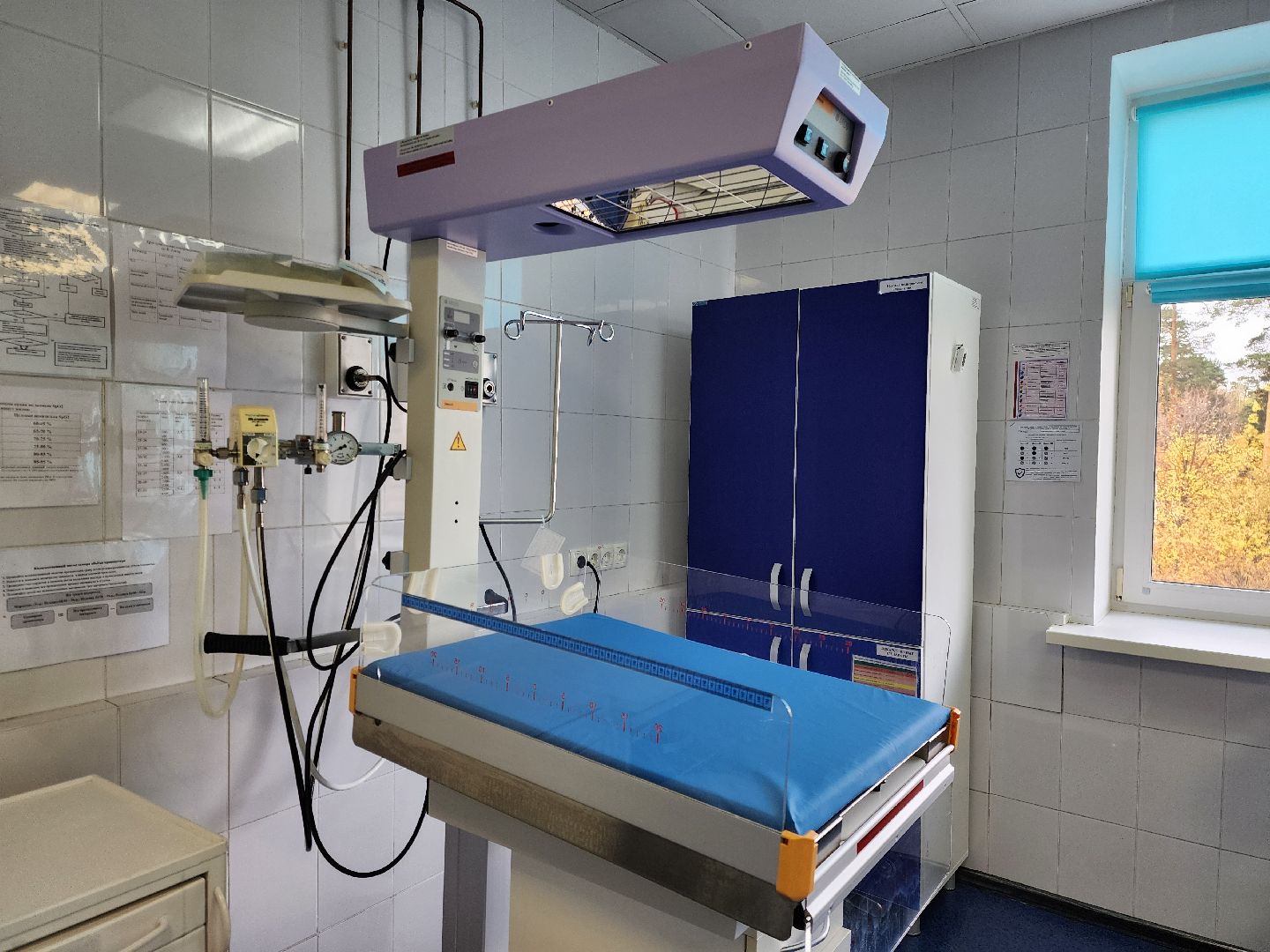 ногинск, жители, медицина, роддом, больница, беременность, день открытых дверей,