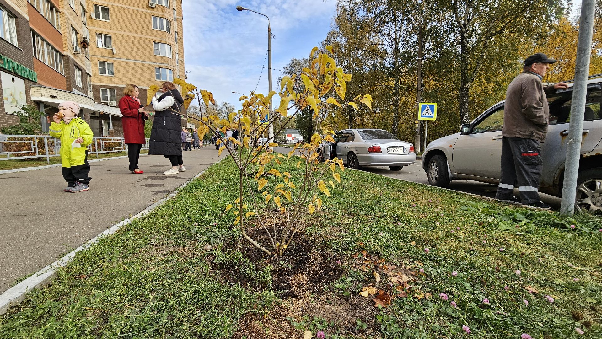 долгопрудный, благоустройство, сирень, акция посади дерево,