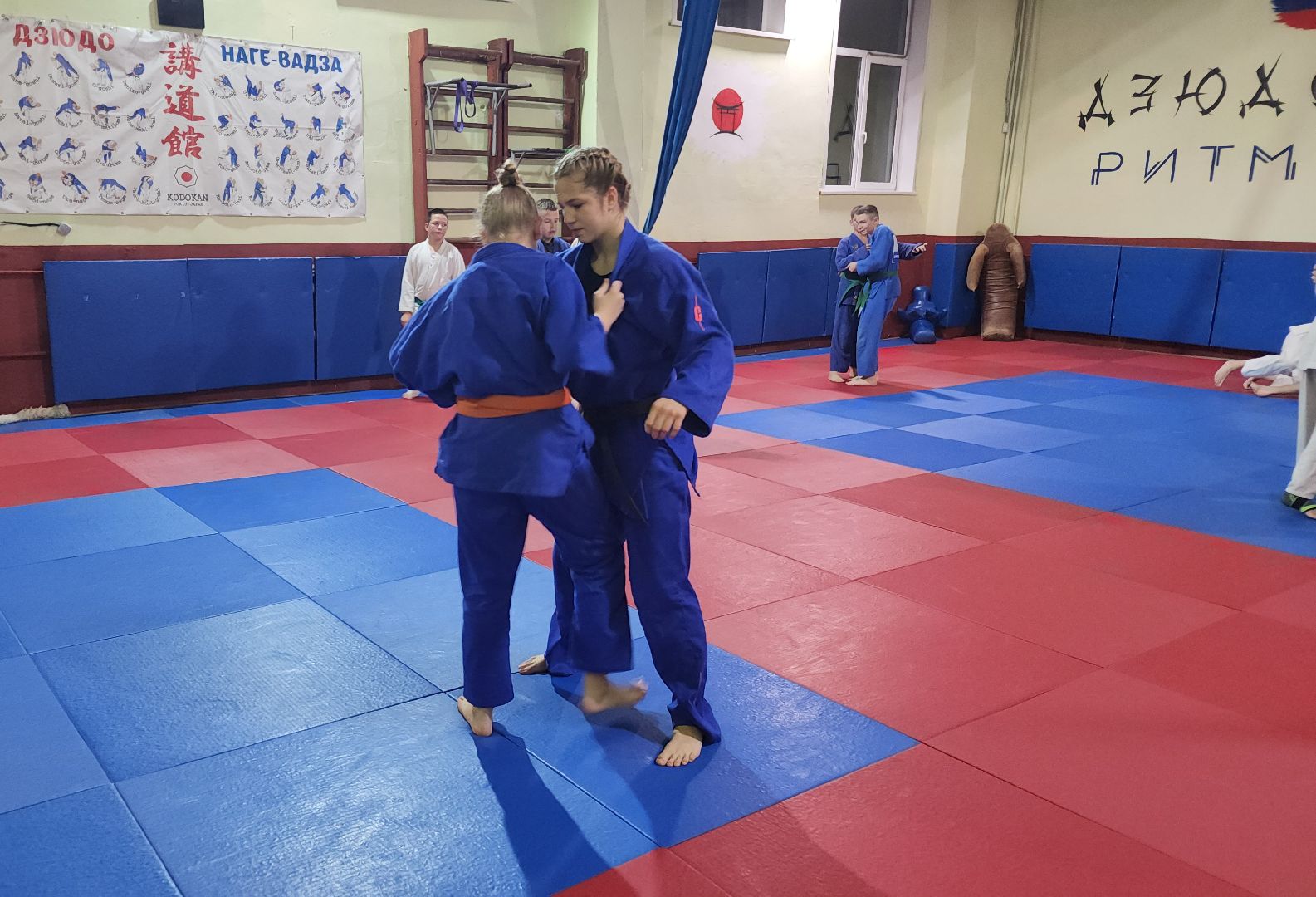 спорт, дзюдо, орехово-зуевский округ,