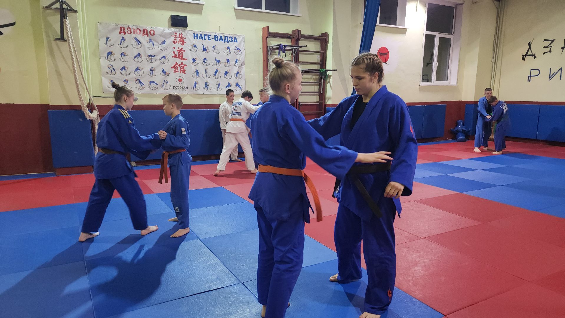 спорт, дзюдо, орехово-зуевский округ,