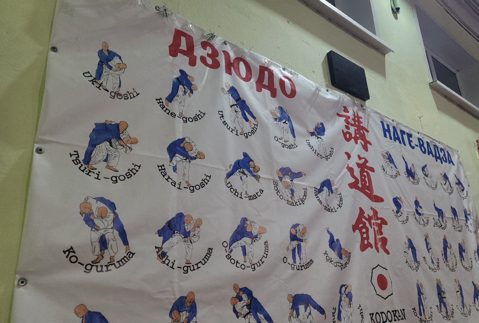 спорт, дзюдо, орехово-зуевский округ,